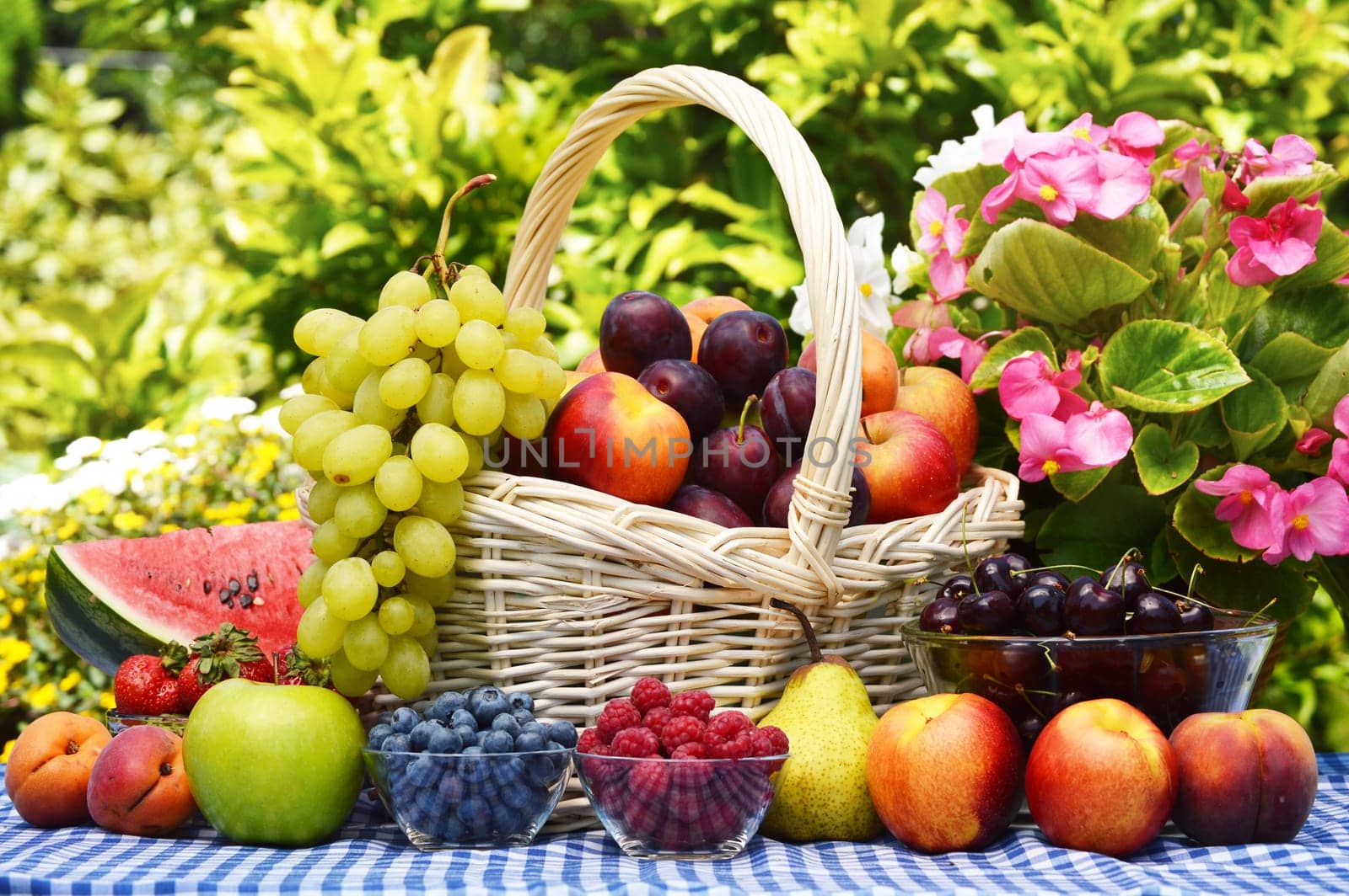 Basket of fresh organic fruits in the garden