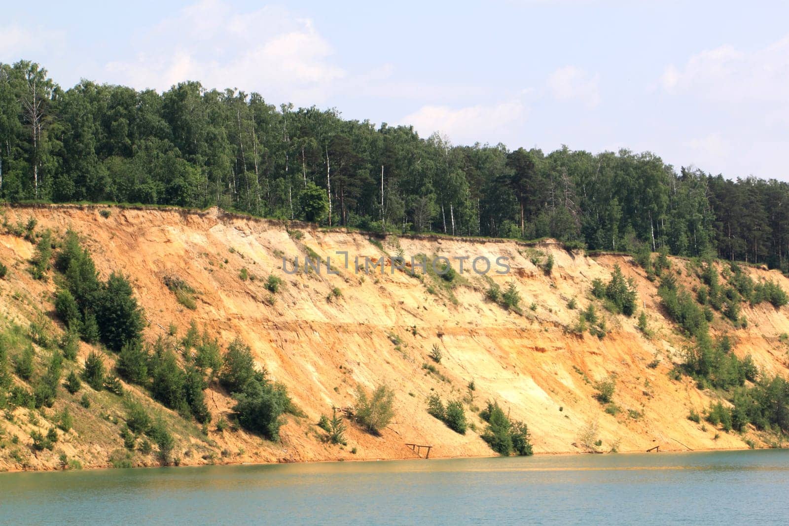 Colony of swallows, Active Sand Martin breeding colony
