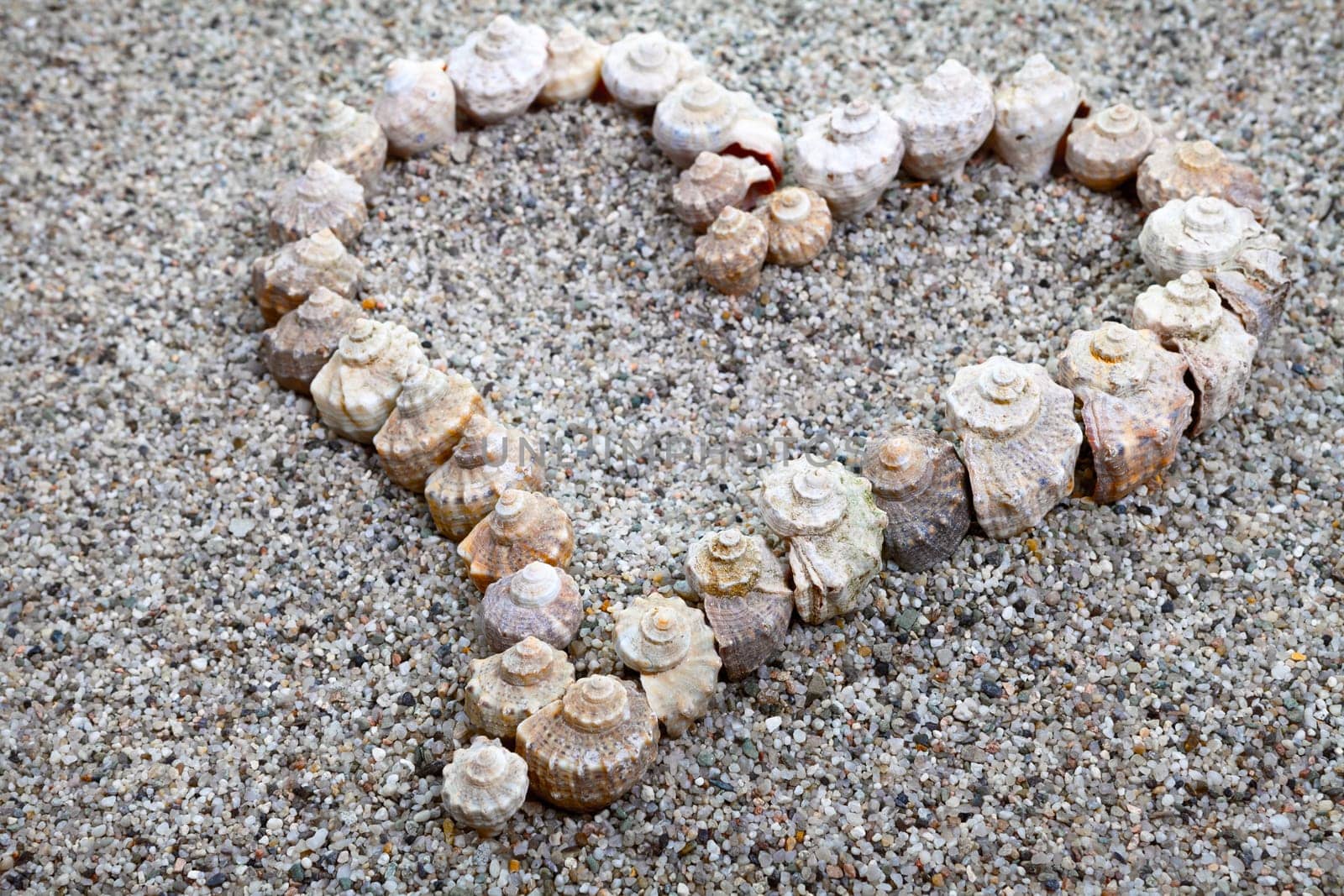 Love heart made of sea shells. Summer composition