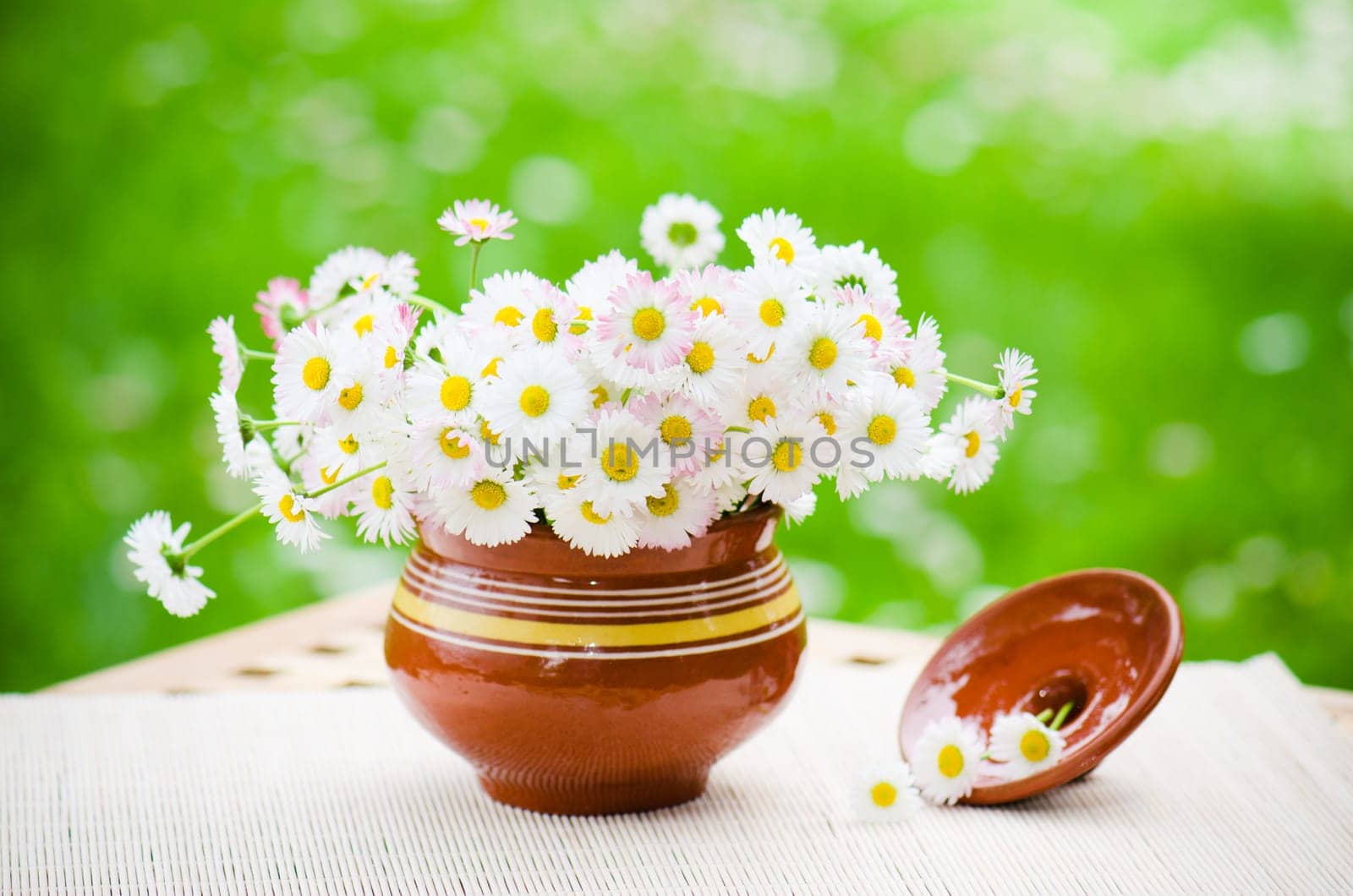 Bouquet of delicate daisies in a pot at the table