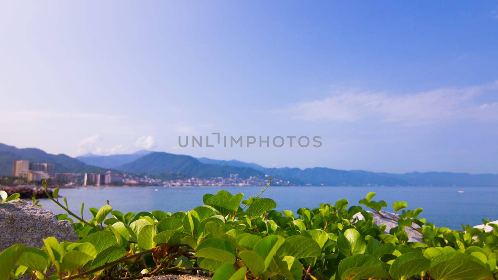 Landscape shot of Puerto Vallarta, Mexico