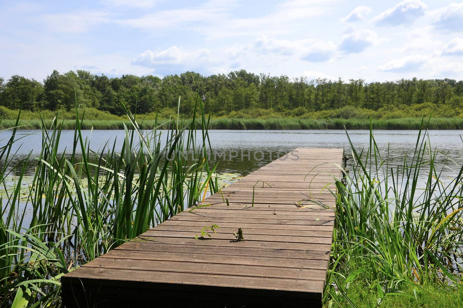 on a lake in Brandenburg