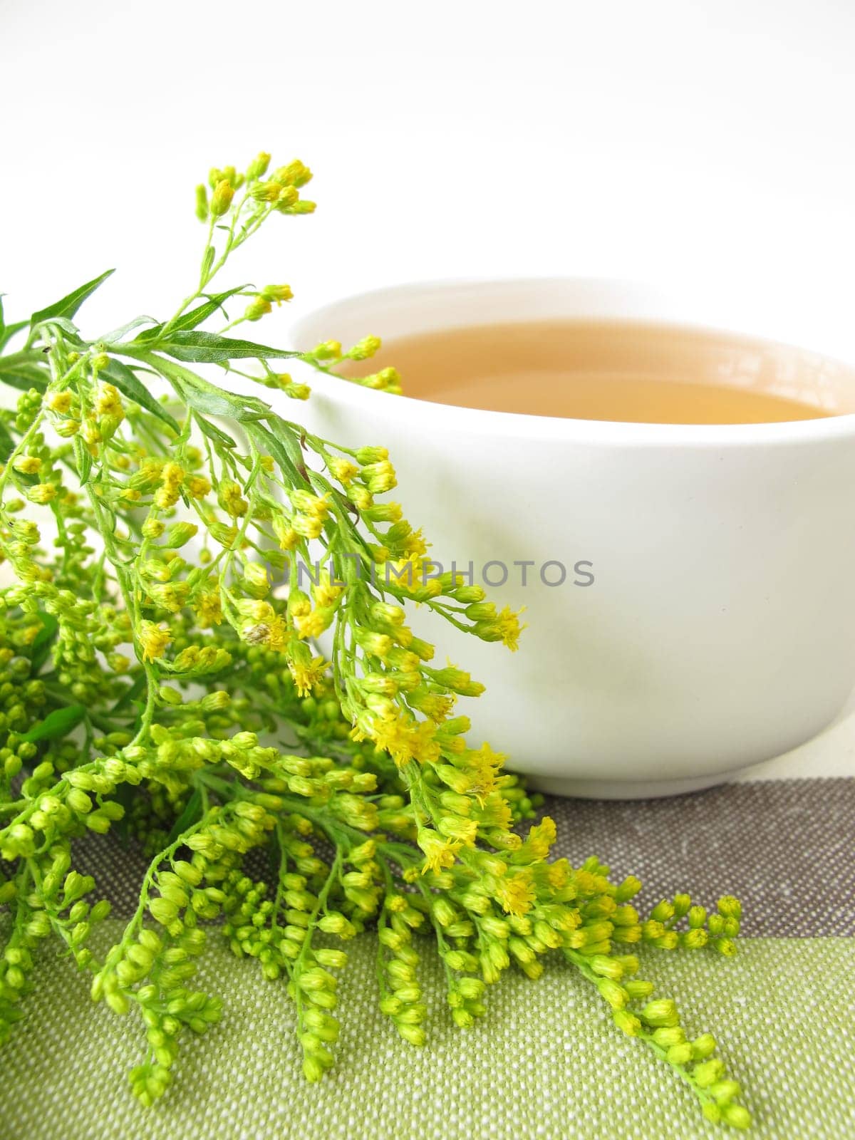 Tea with goldenrod