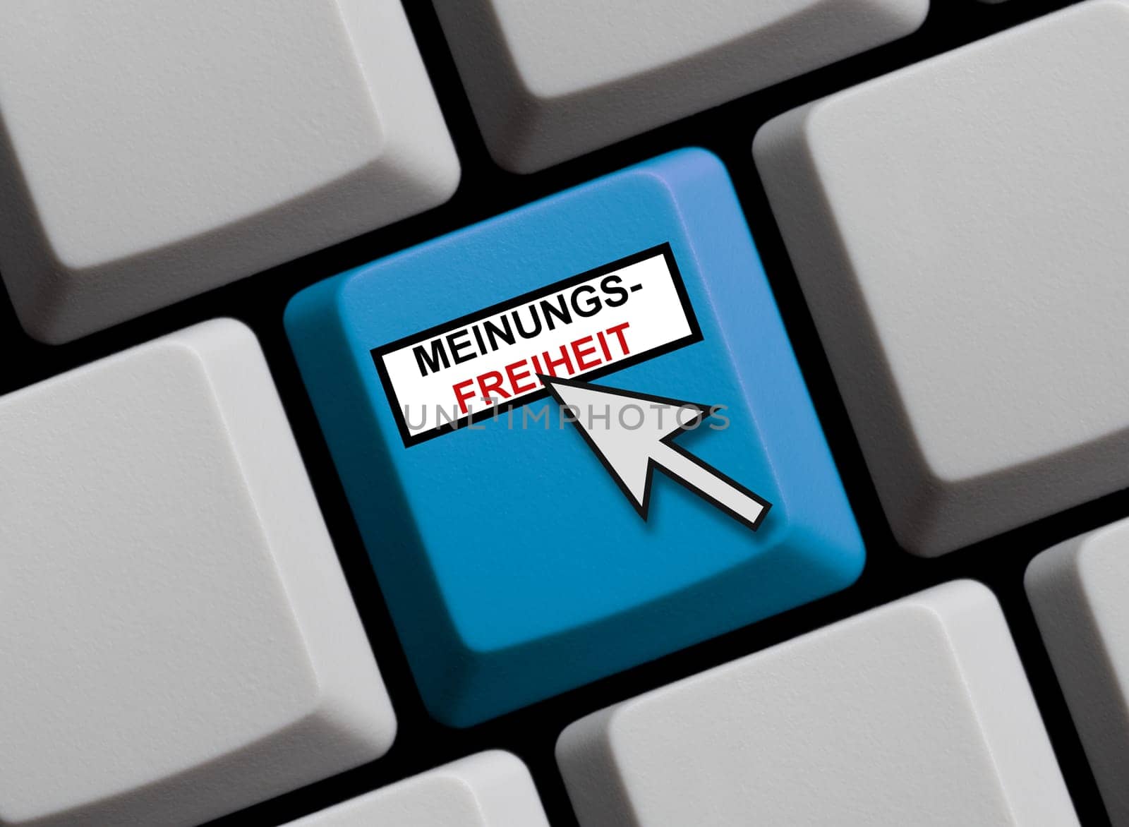 Freedom of expression online