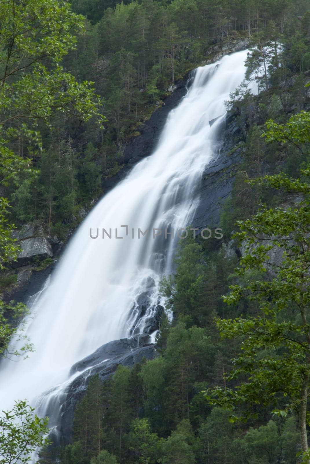 a waterfall in the wood with green trees surrounding it