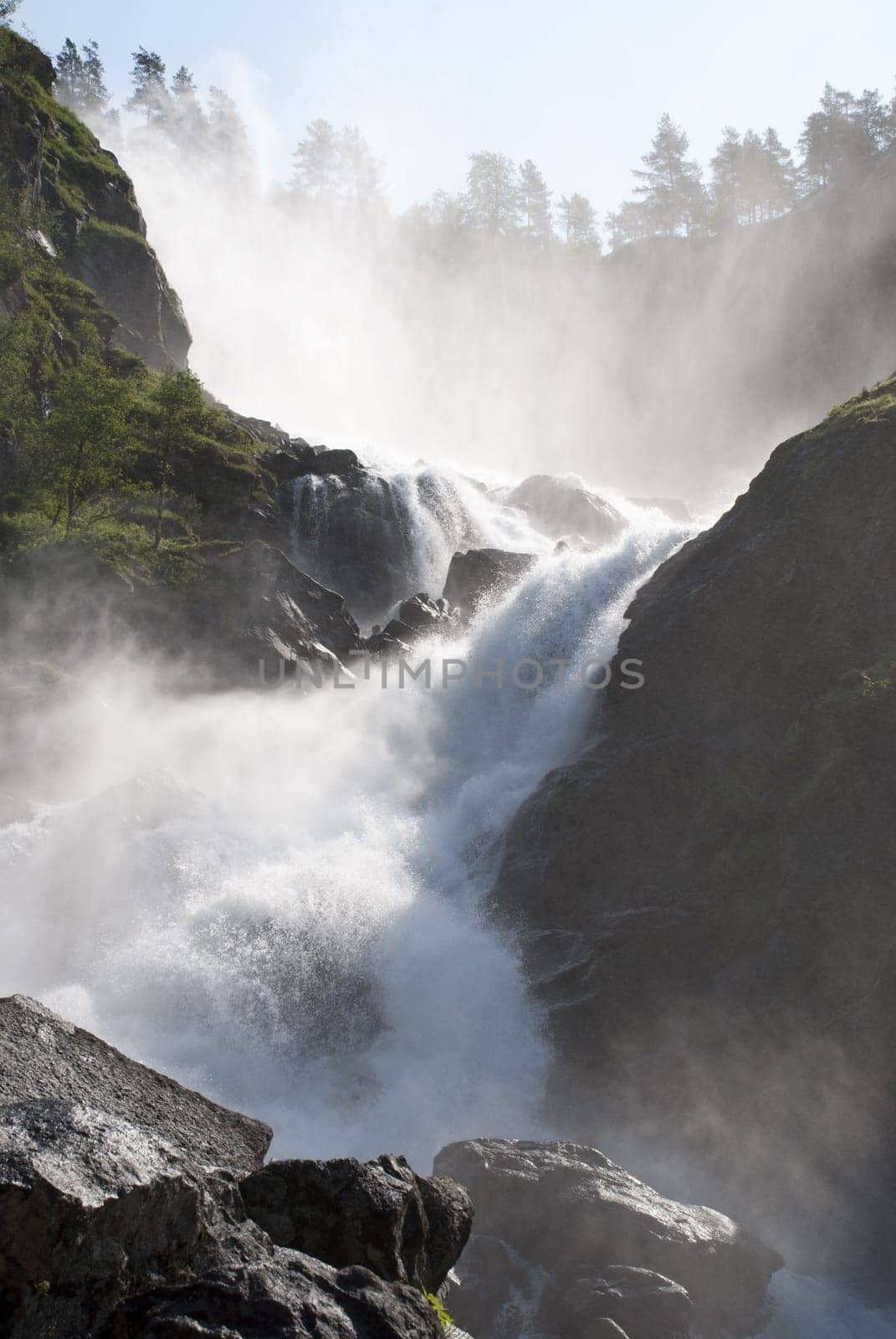 a huge and wild waterfall with trees surrounding it