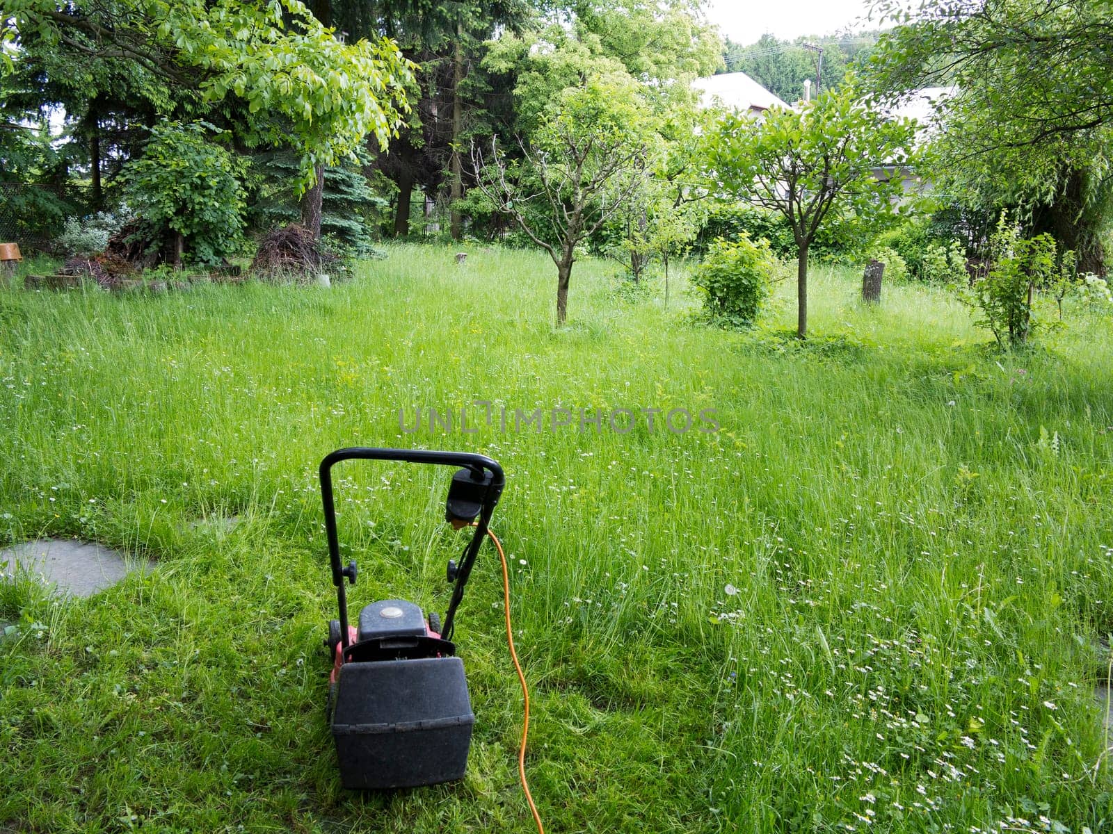 Mower and garden overgrown with weeds