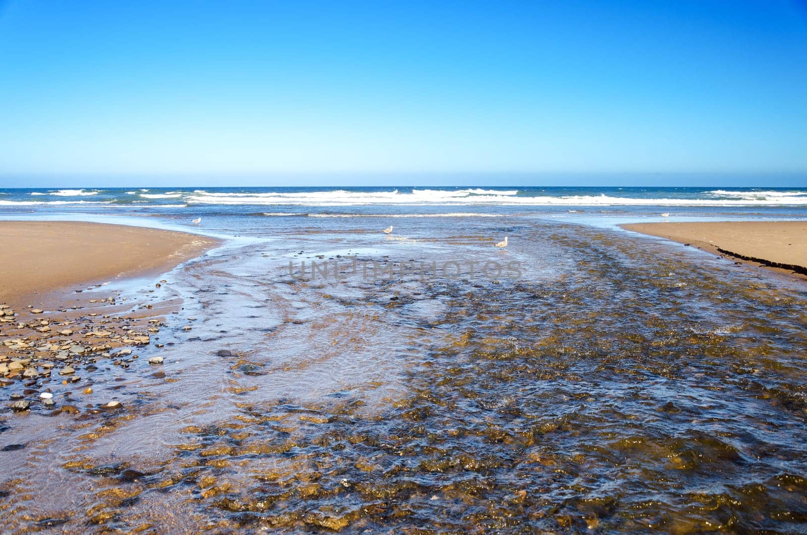 The D River, shortest in the world, flowing into the Pacific Ocean