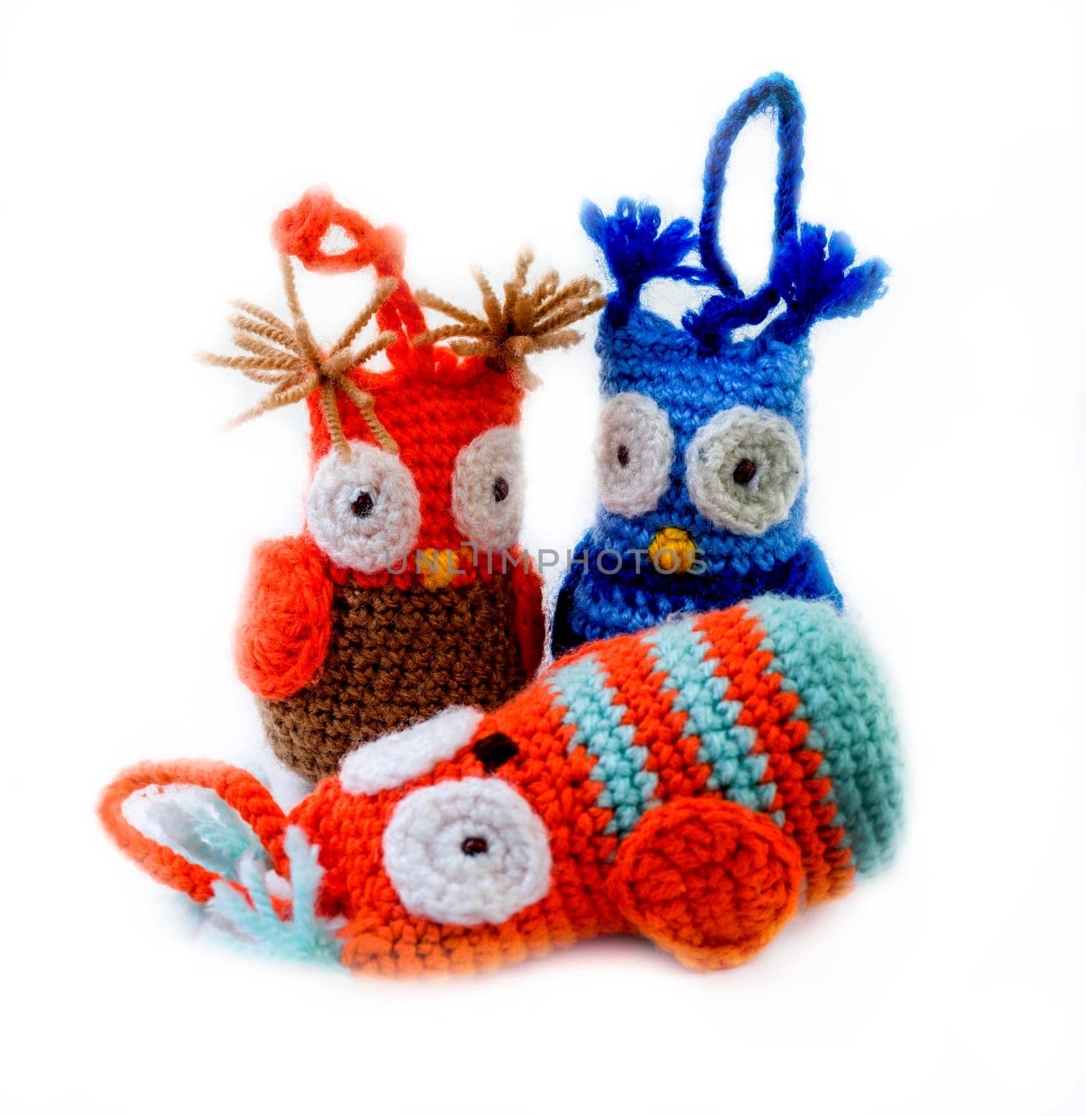 mourning owls