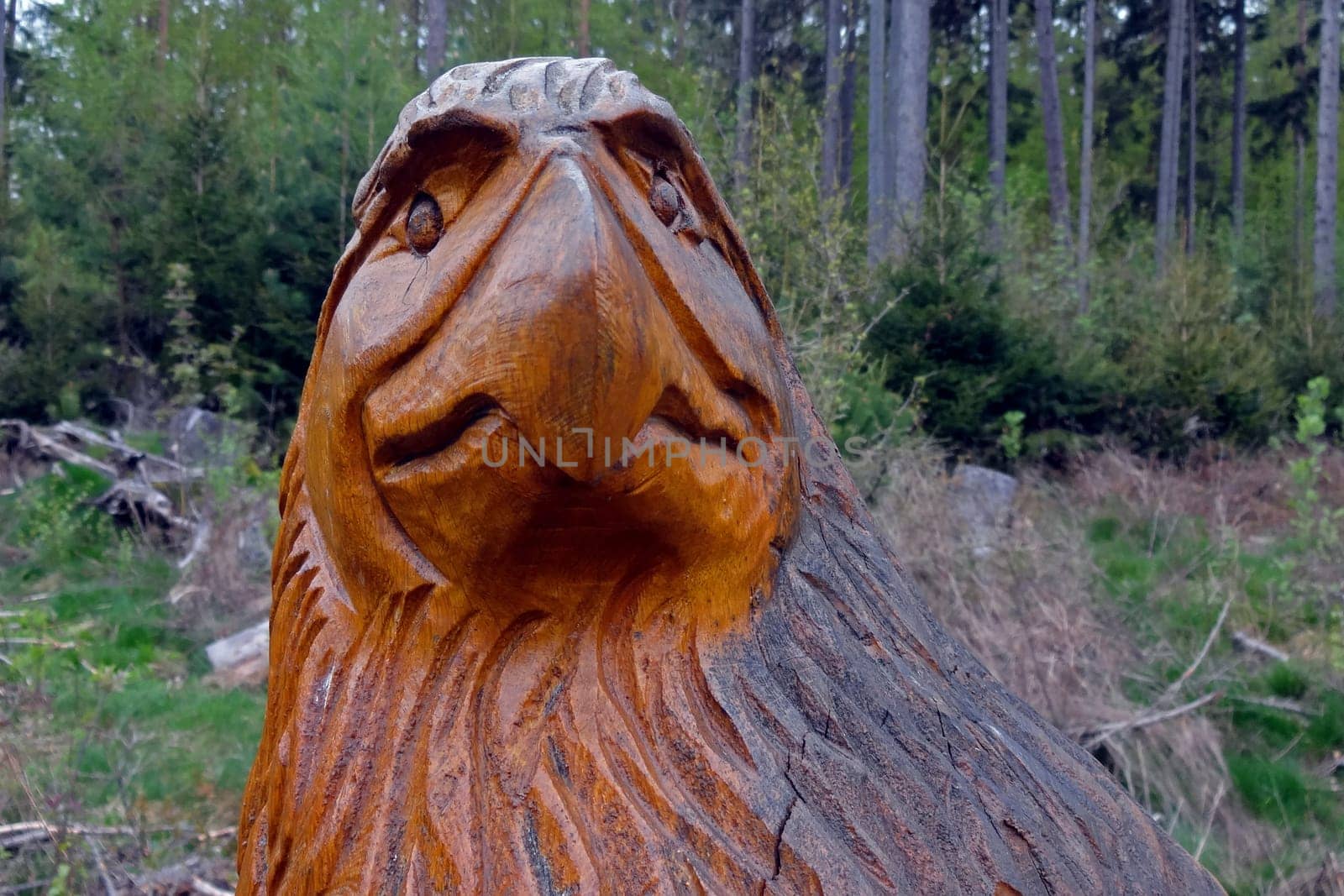 Carving,figure