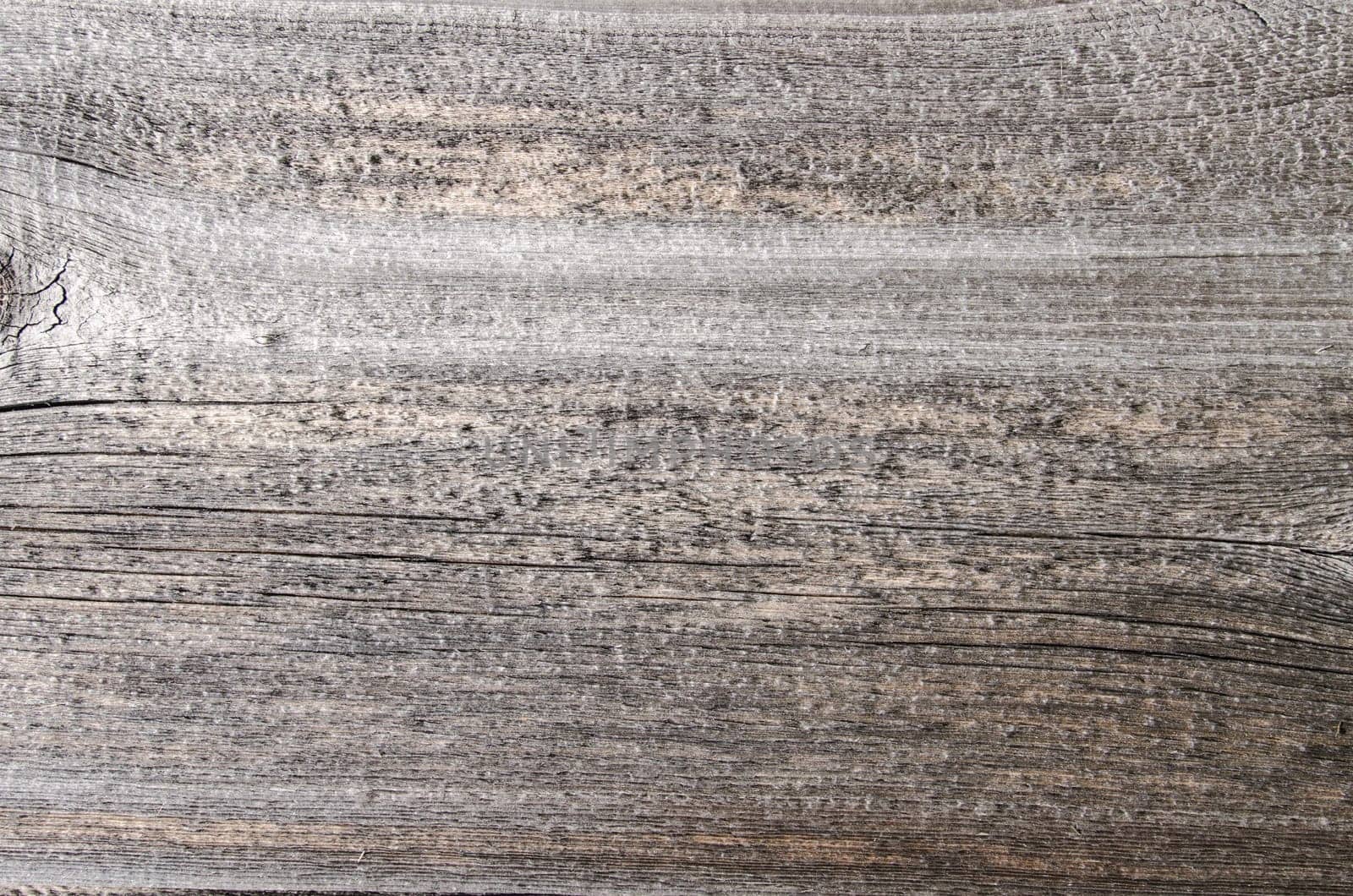 Wooden board with grain in grey and brown