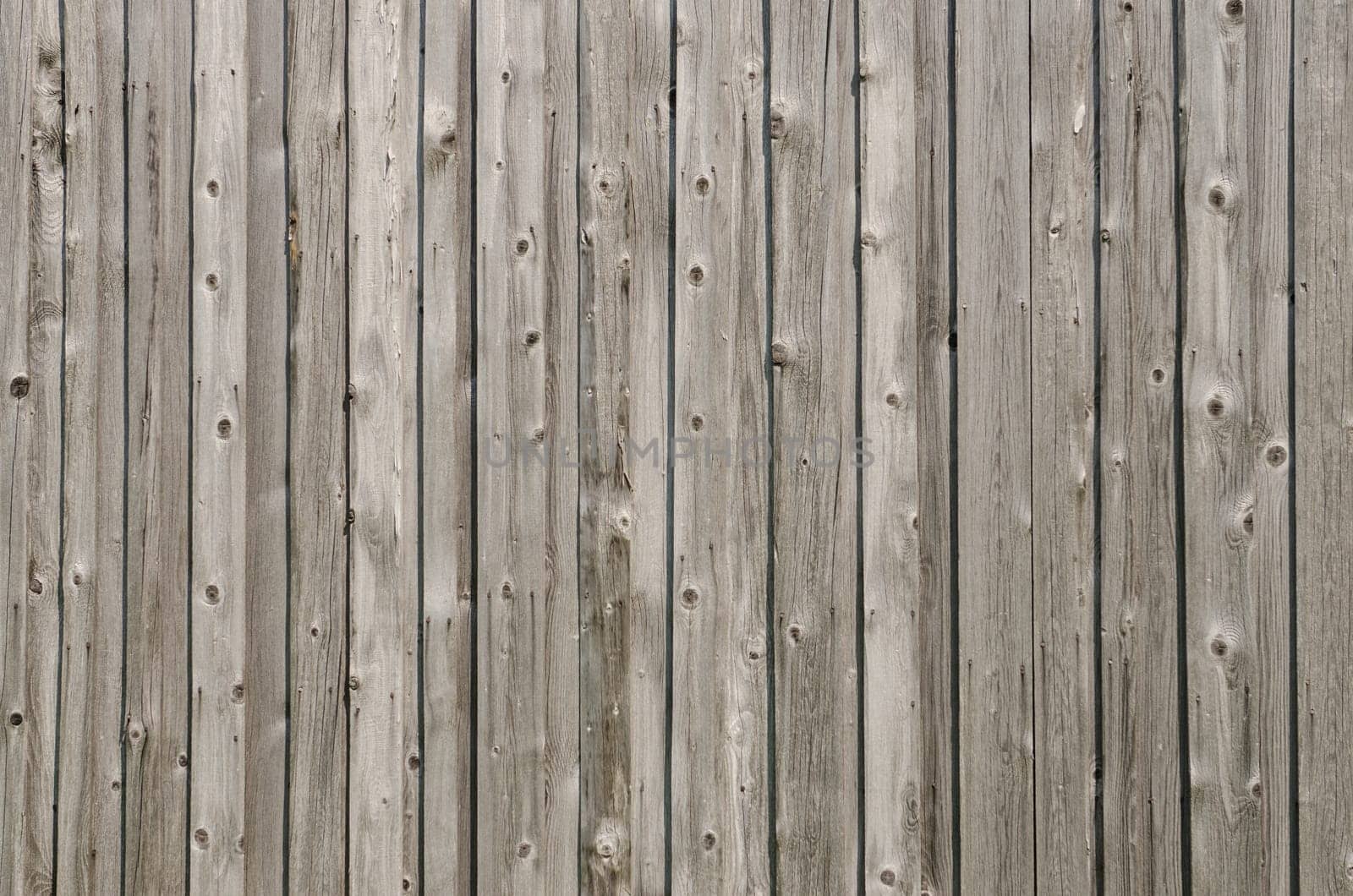 Grey weathered wooden boards as background