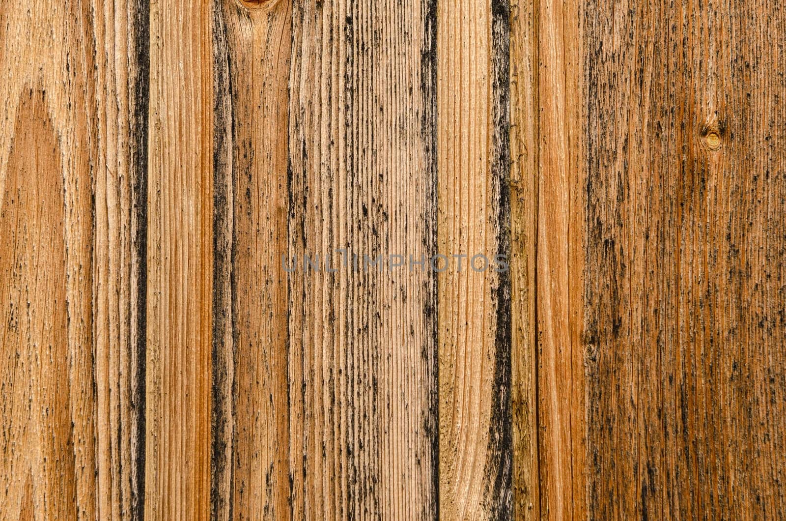 Close-up grain wood in brown as structure