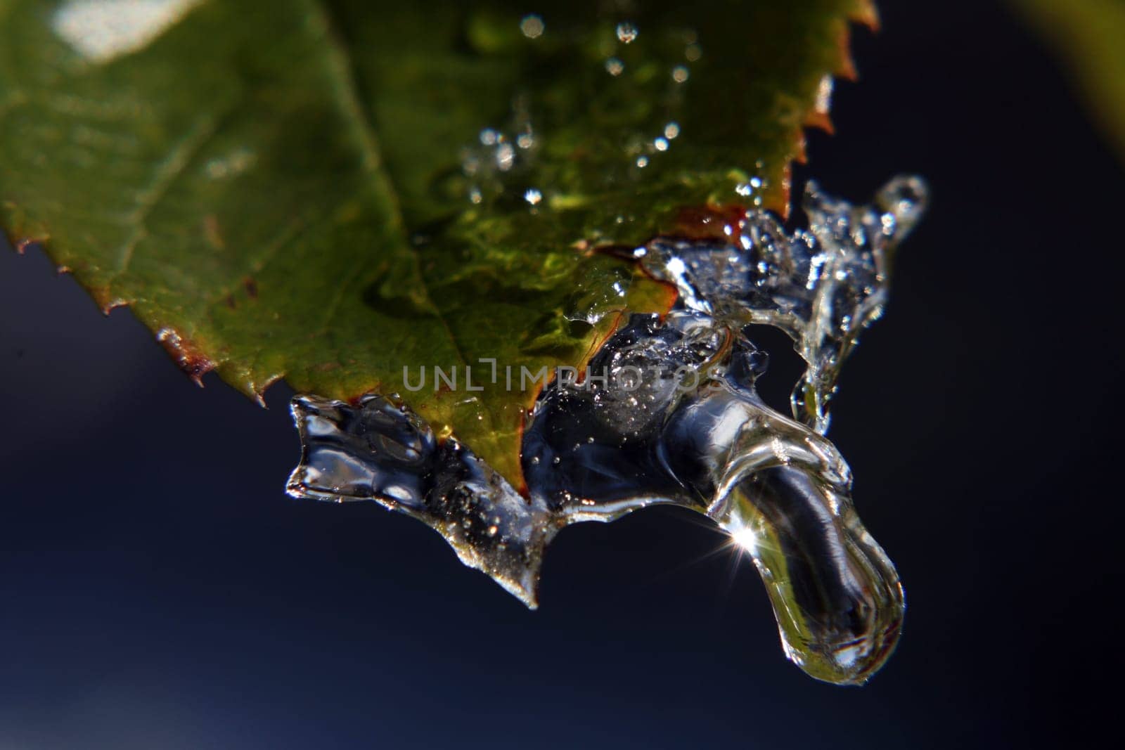When winter begins in autumn...