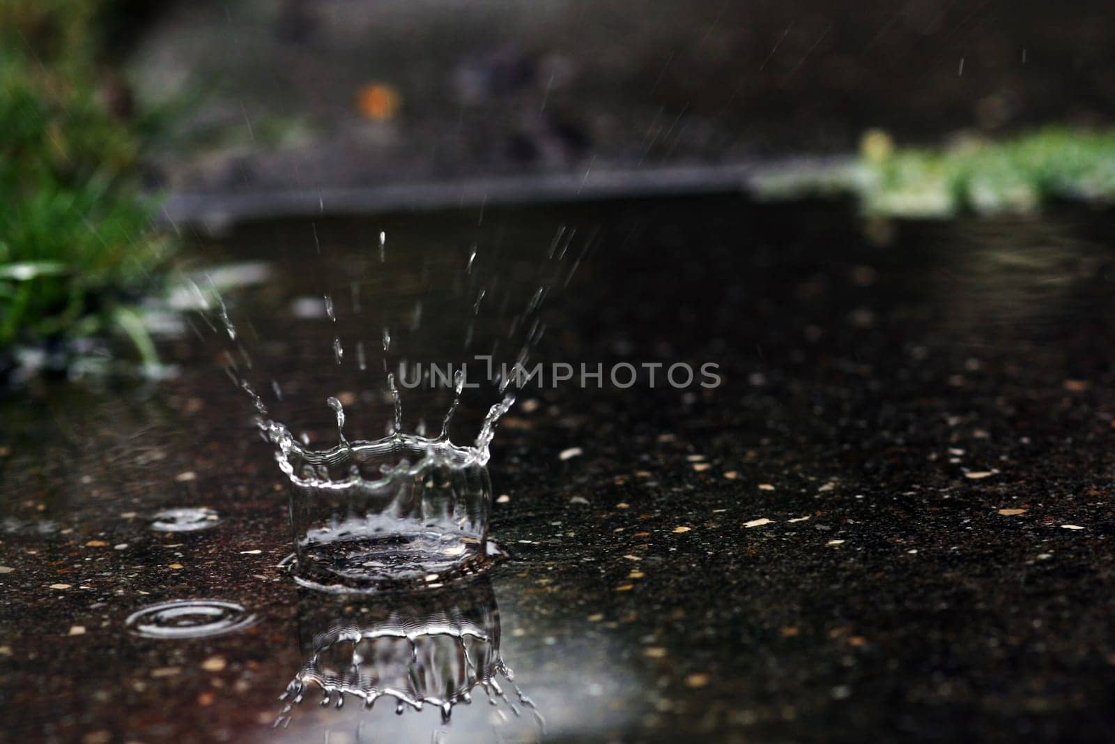 The Great Raindrop