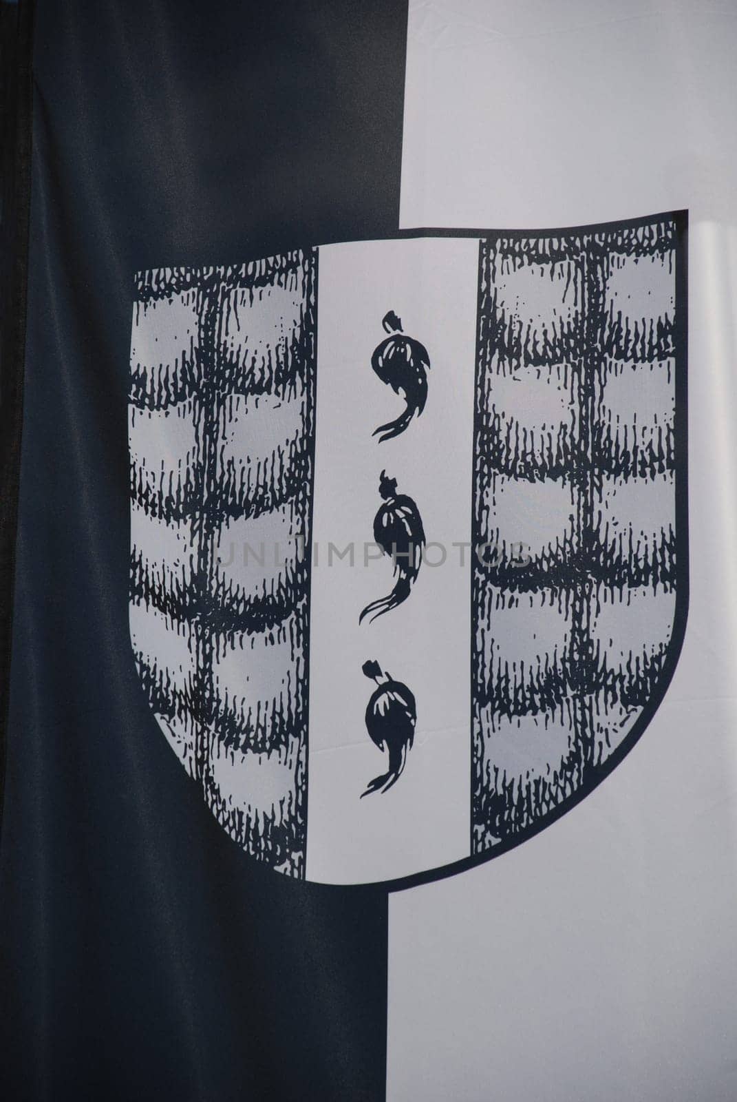 Bregenz Flag Flag Banner Coat of Arms Vorarlberg