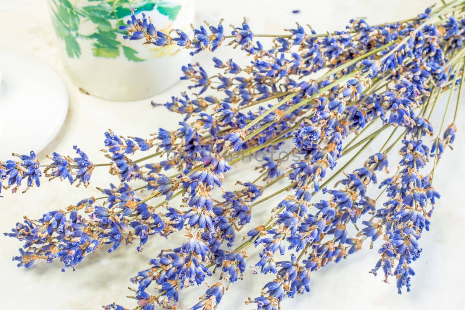 Lavender,fresh bouquet