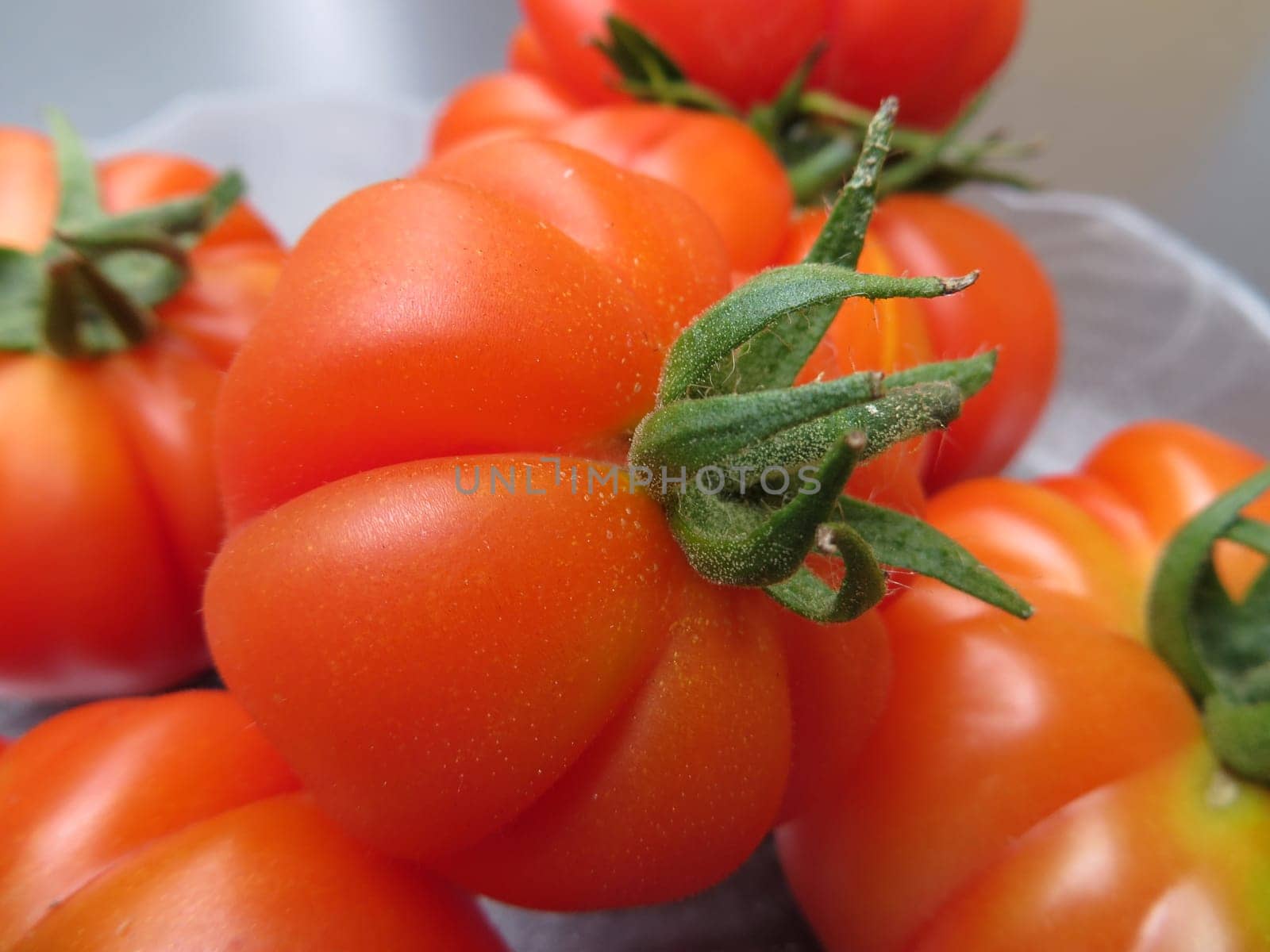 Tomato - Costoluto fiorentino