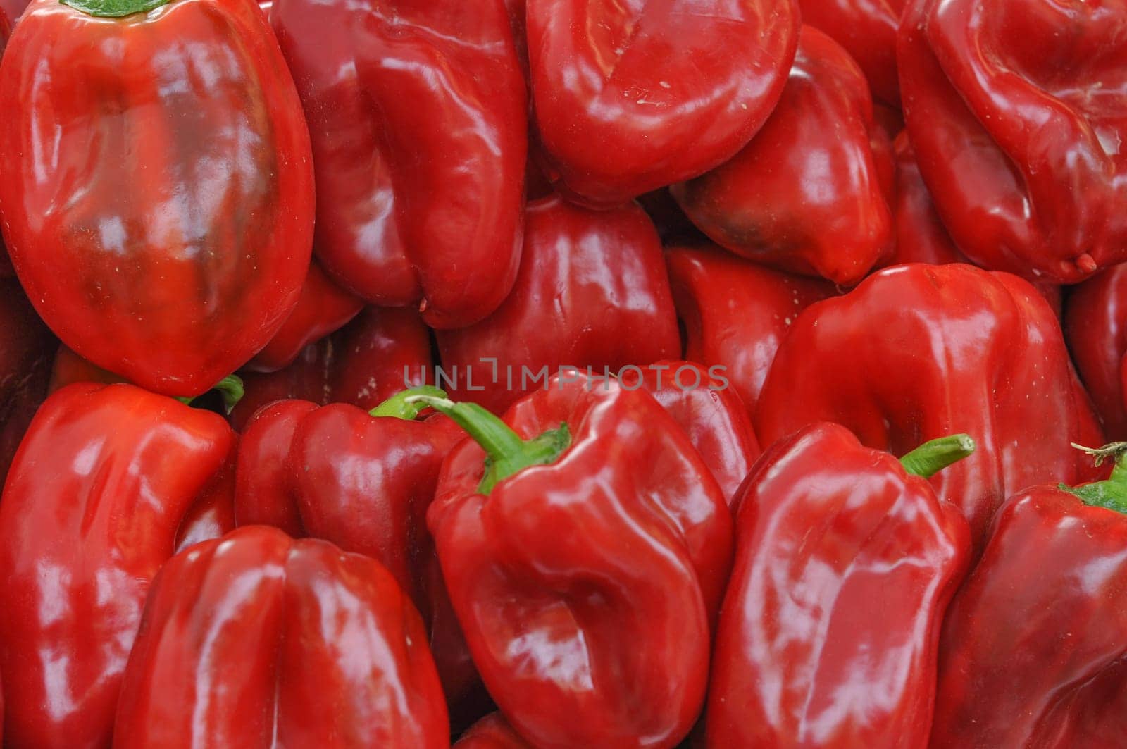 Green or red peppers vegetables healthy vegetarian cuisine food