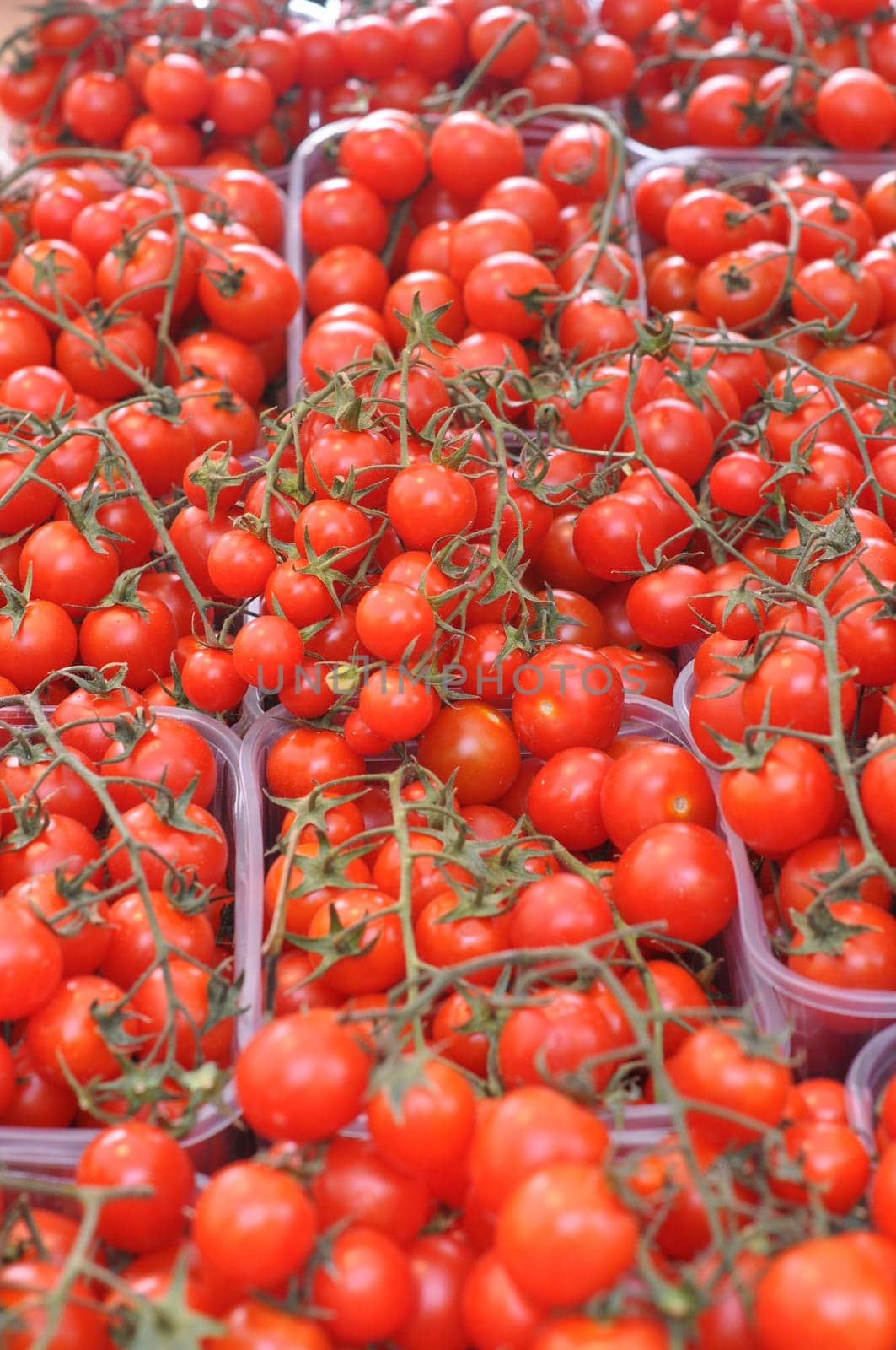 Red Italian tomato vegetables healthy vegetarian food