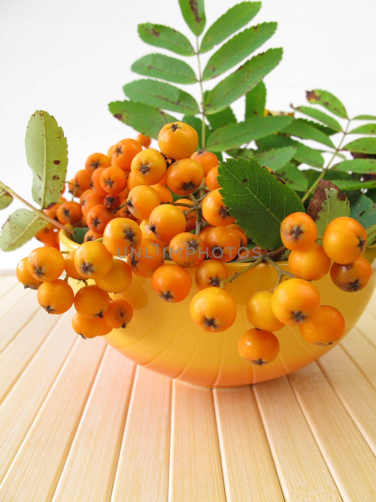 Mountain ash apple fruit