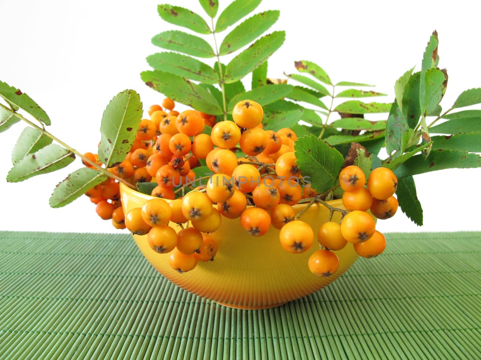 Mountain ash apple fruit