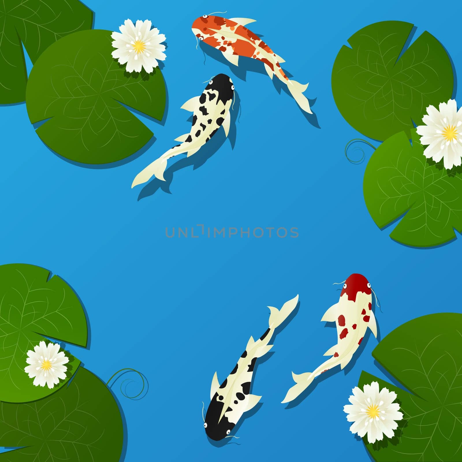 Koi fish and lotus leaves, flower