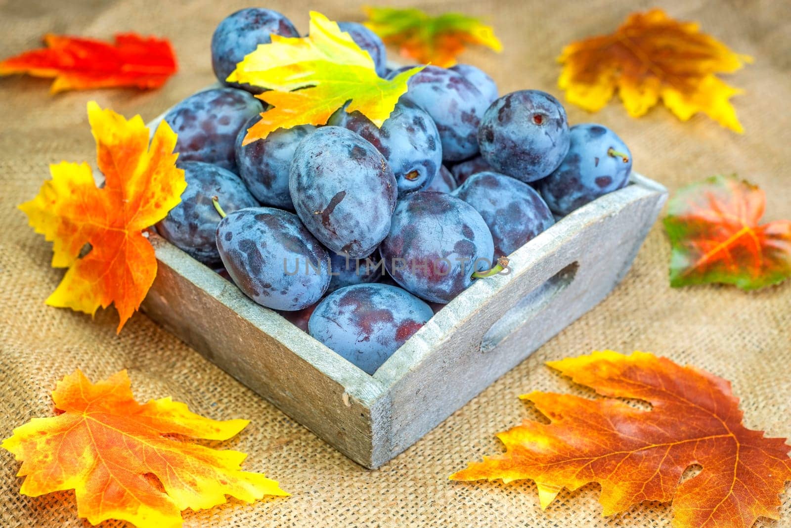 Fresh plums