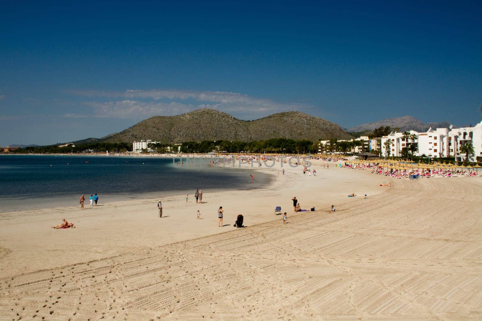 Beach in the bay of Alcudia