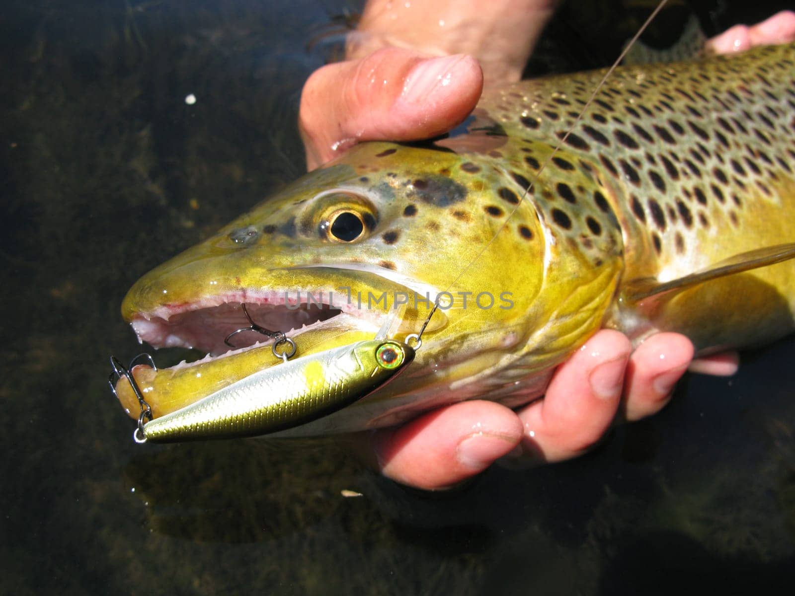 Fishing