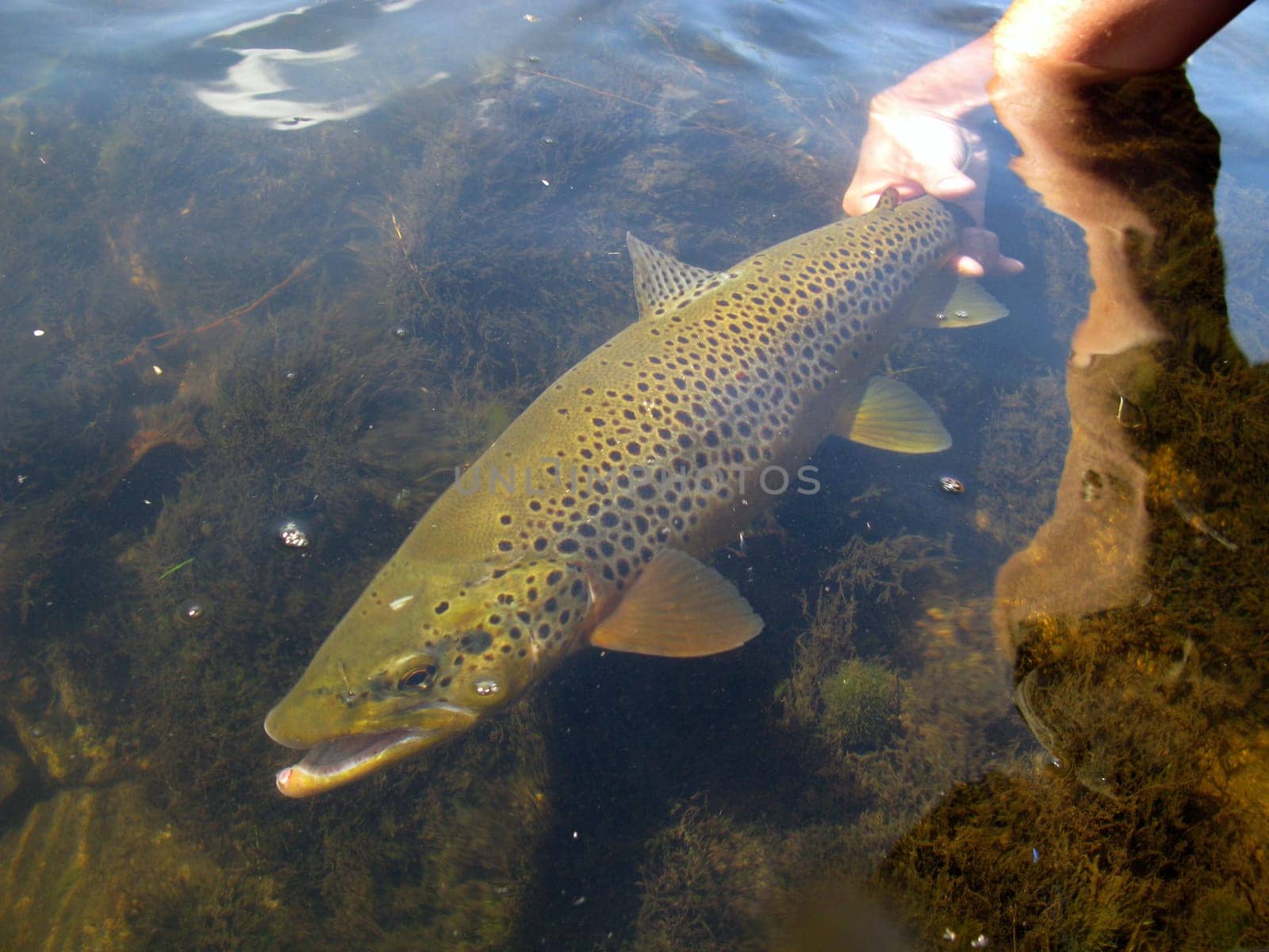Fishing