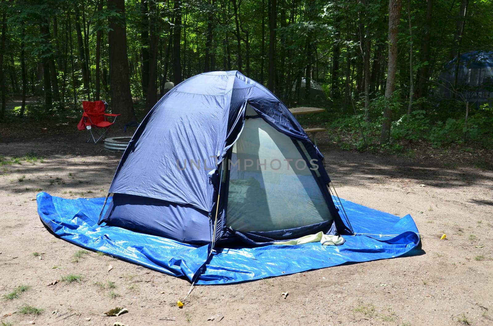 Campsite showing tent among trees