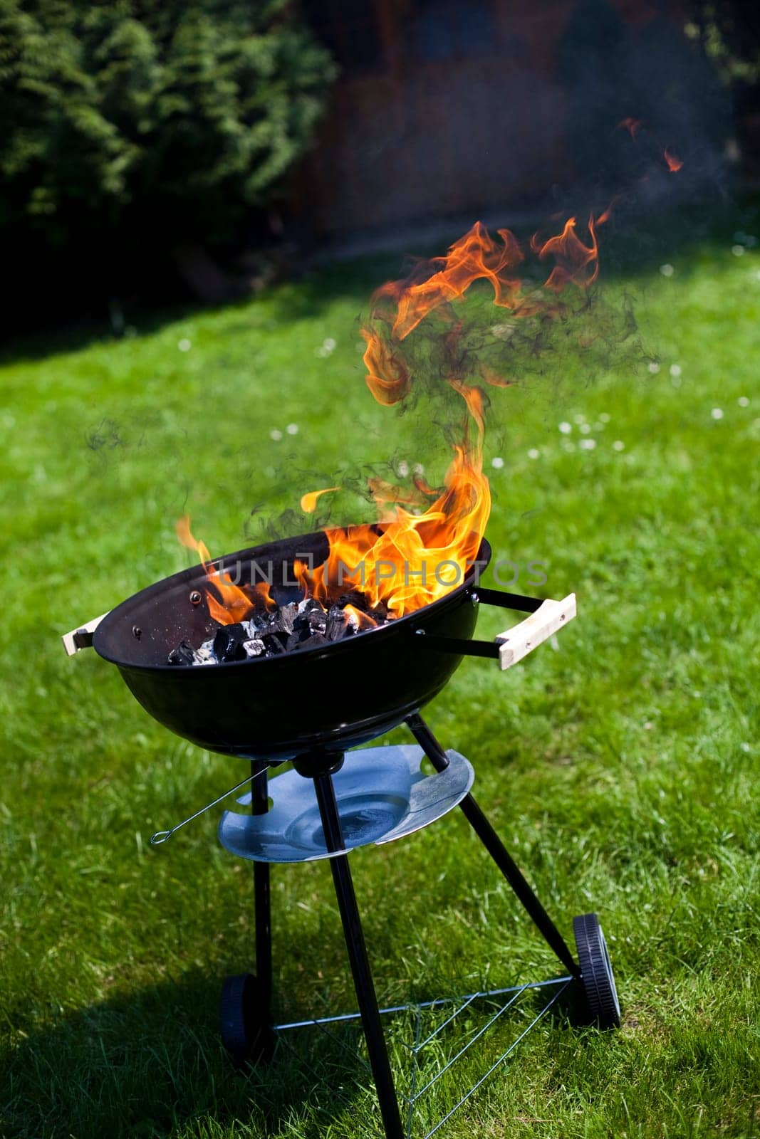 Grilling meat in flames, tasty dinner