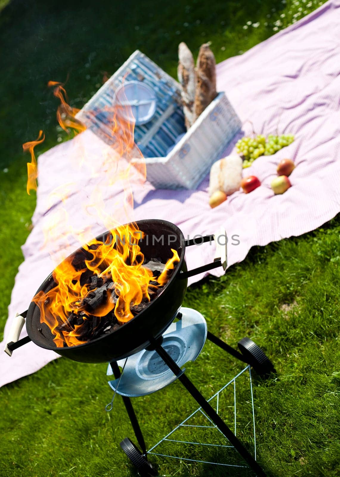 Picnic, Grilling time, Grill