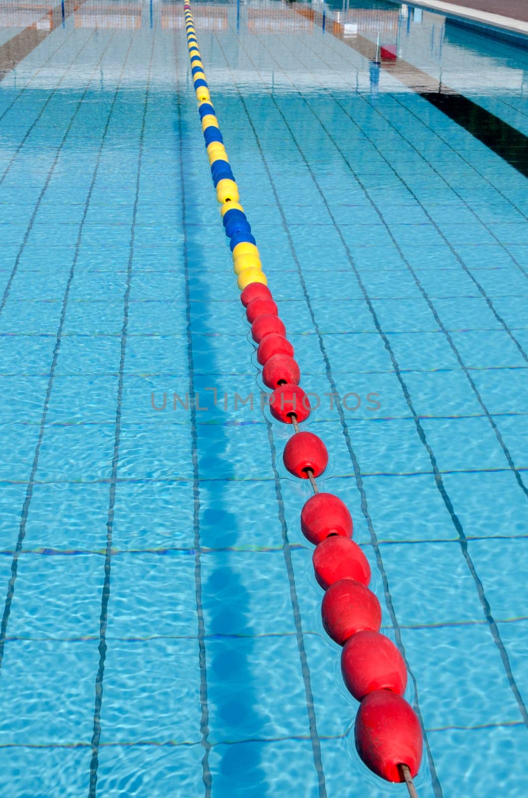lane Olympic-size pool
