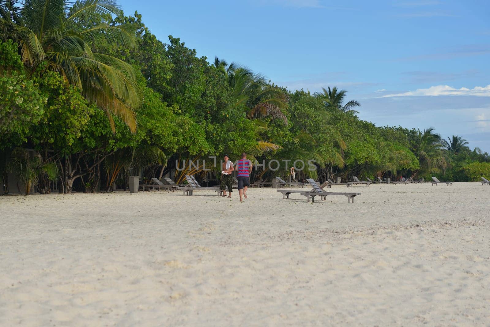 tropical beach with white sand at summer