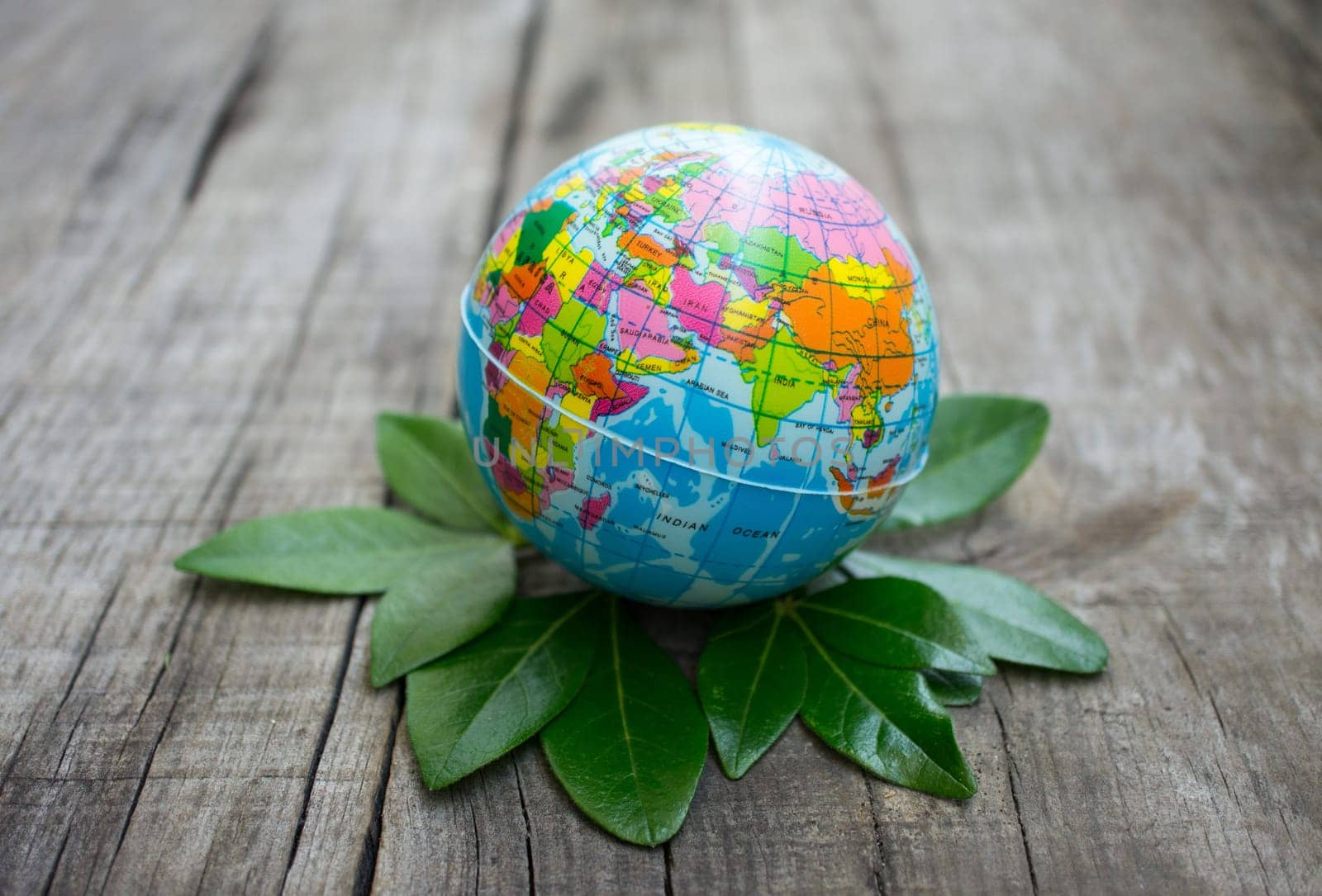 A globe standing of a pile of leaves on wood background.