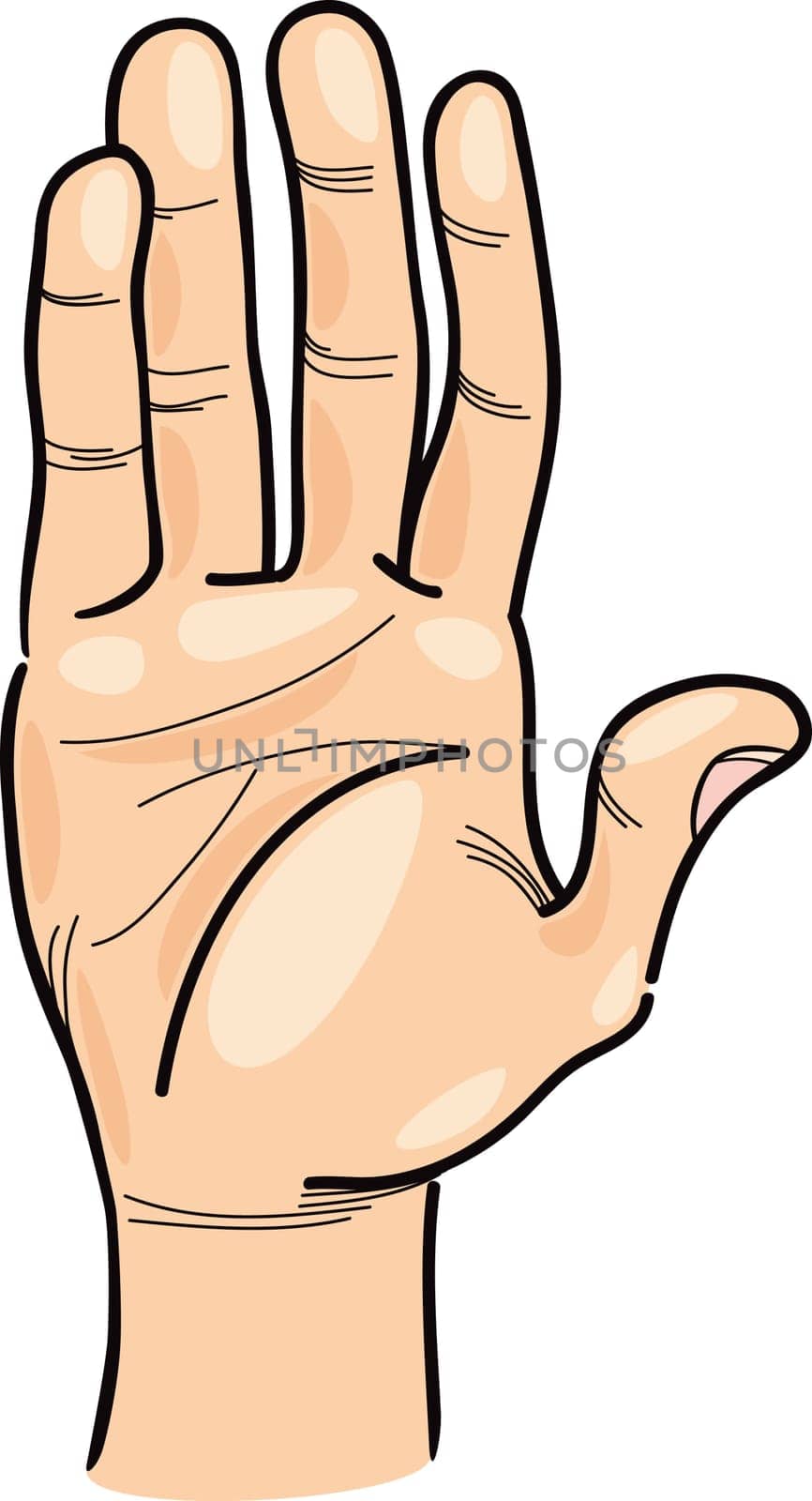 Cartoon Illustration of Human Hand Clip Art