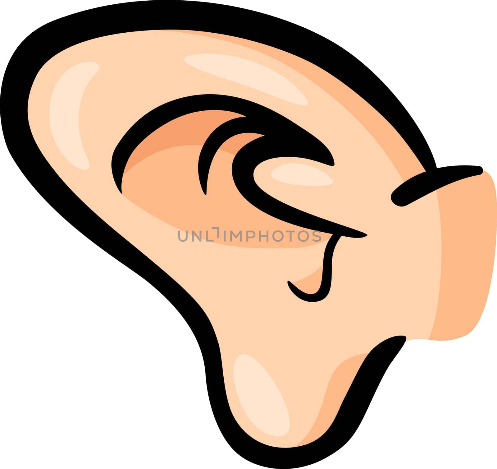 Cartoon Illustration of Human Ear Clip Art