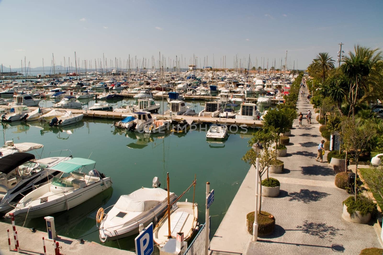 Marina in Alcudia in Mallorca
