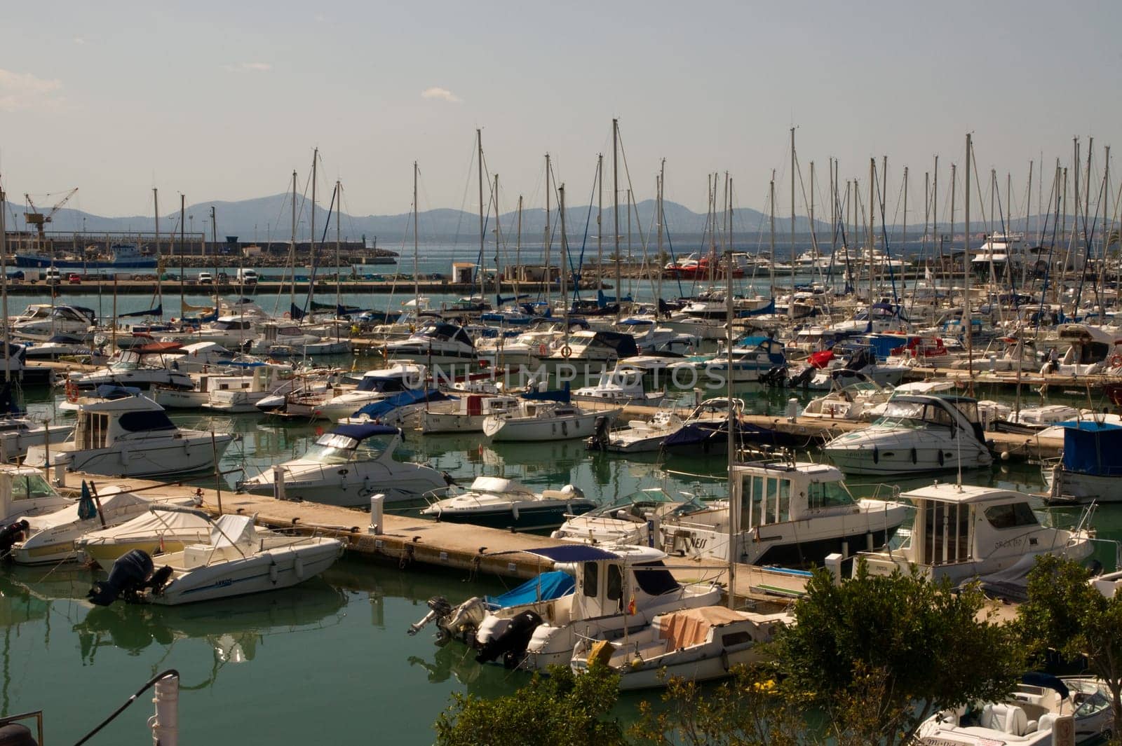 Marina in the bay of Alcudia in Mallorca
