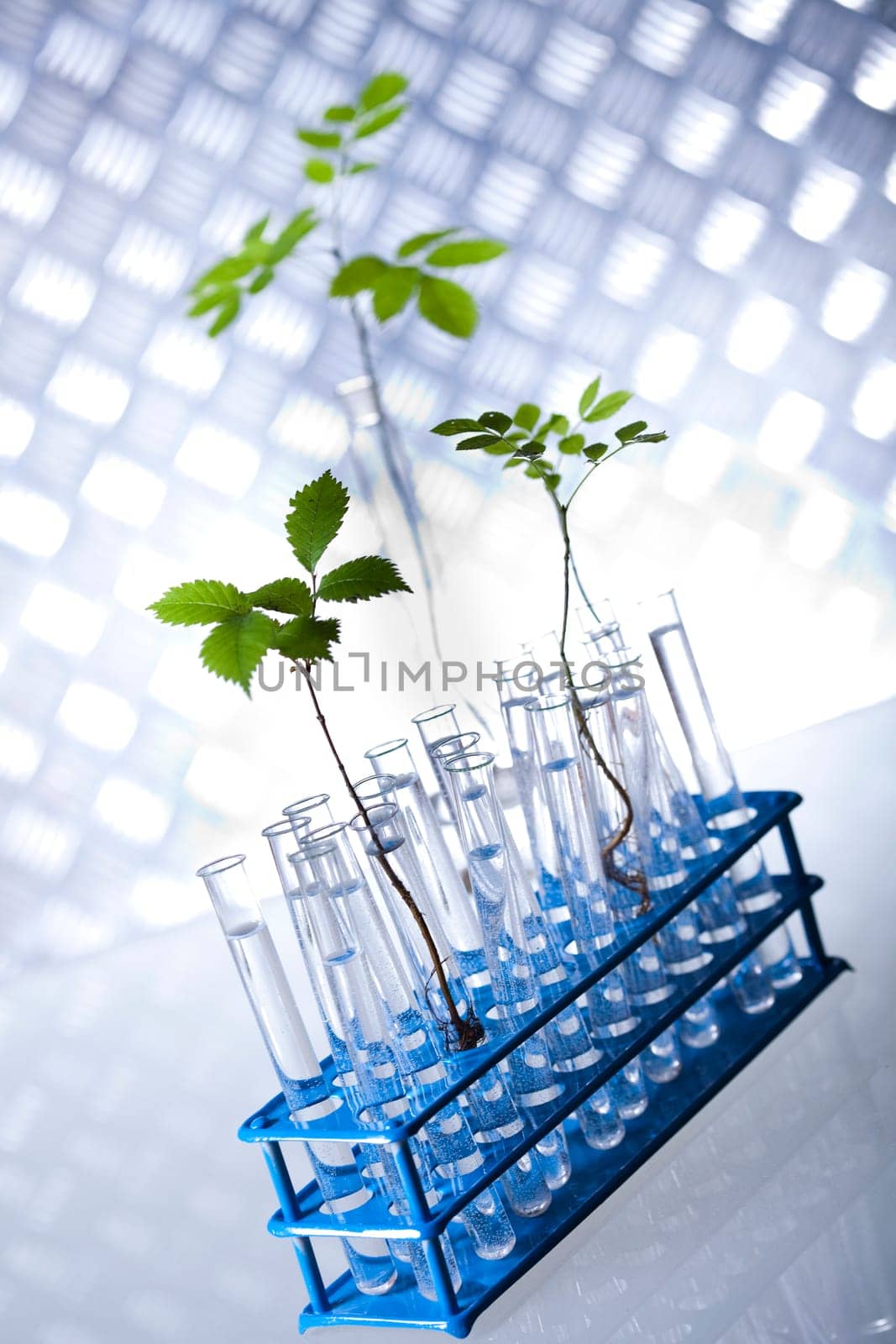 Biotechnology