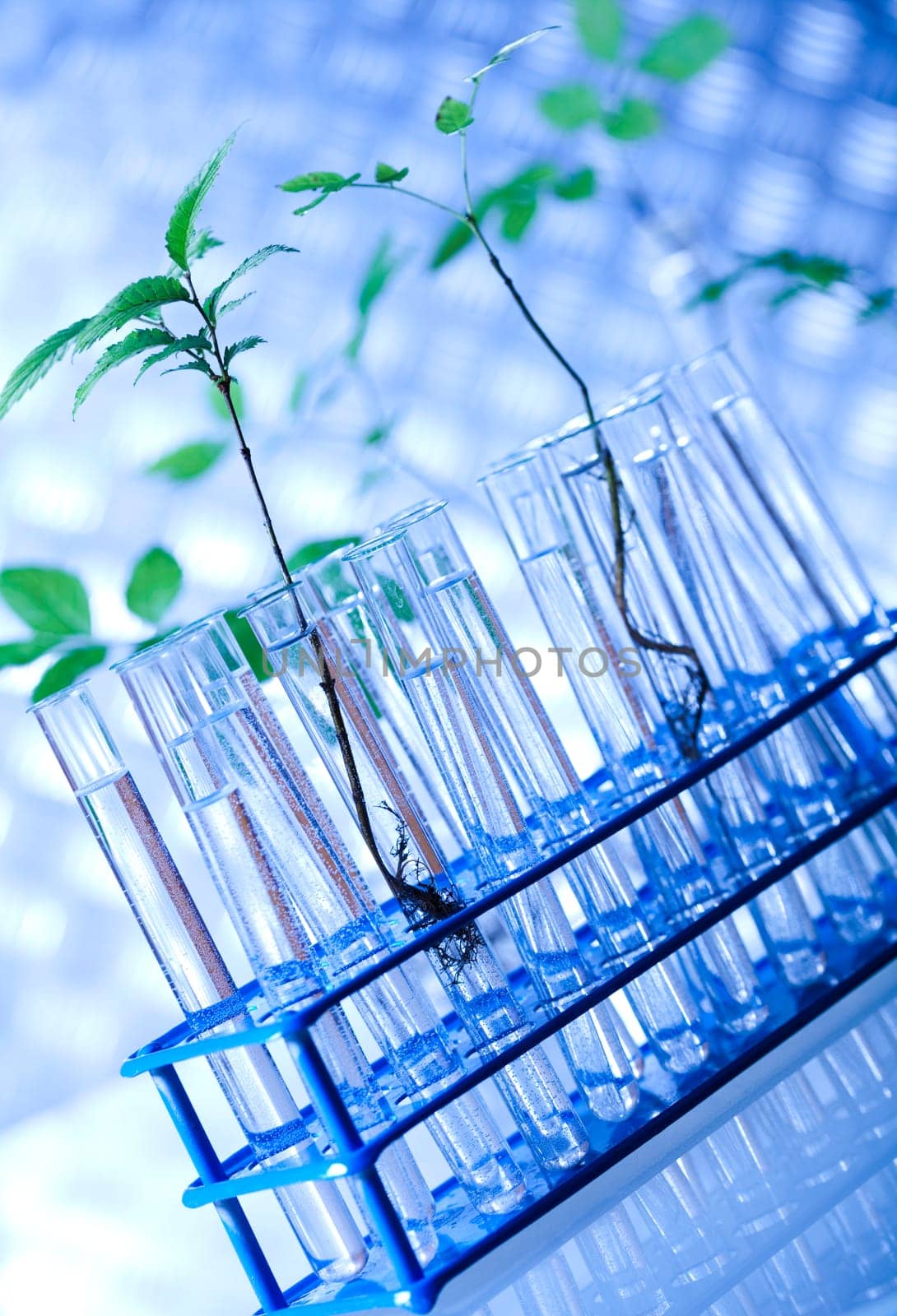 Experimental plant