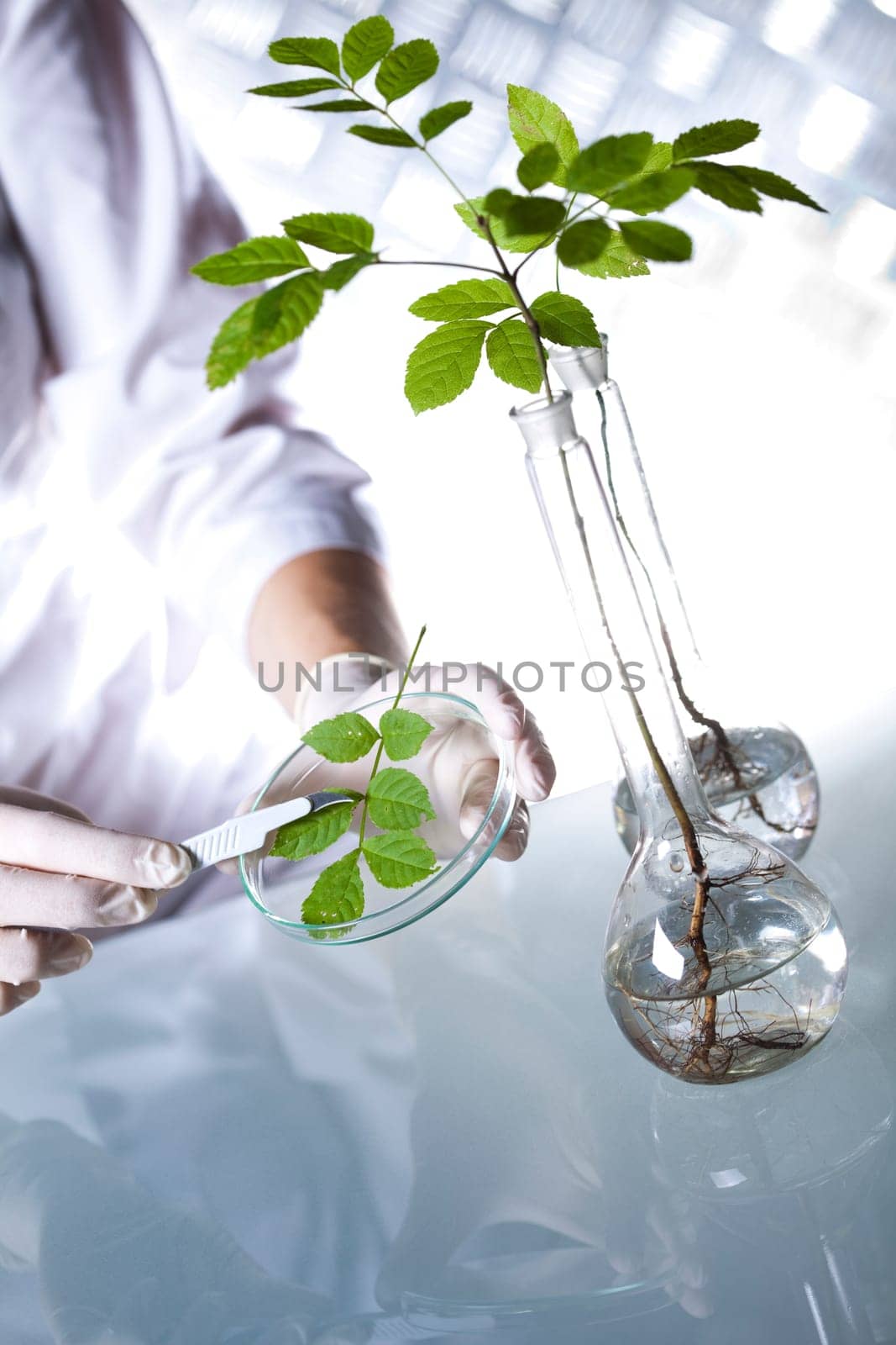 Biotechnology