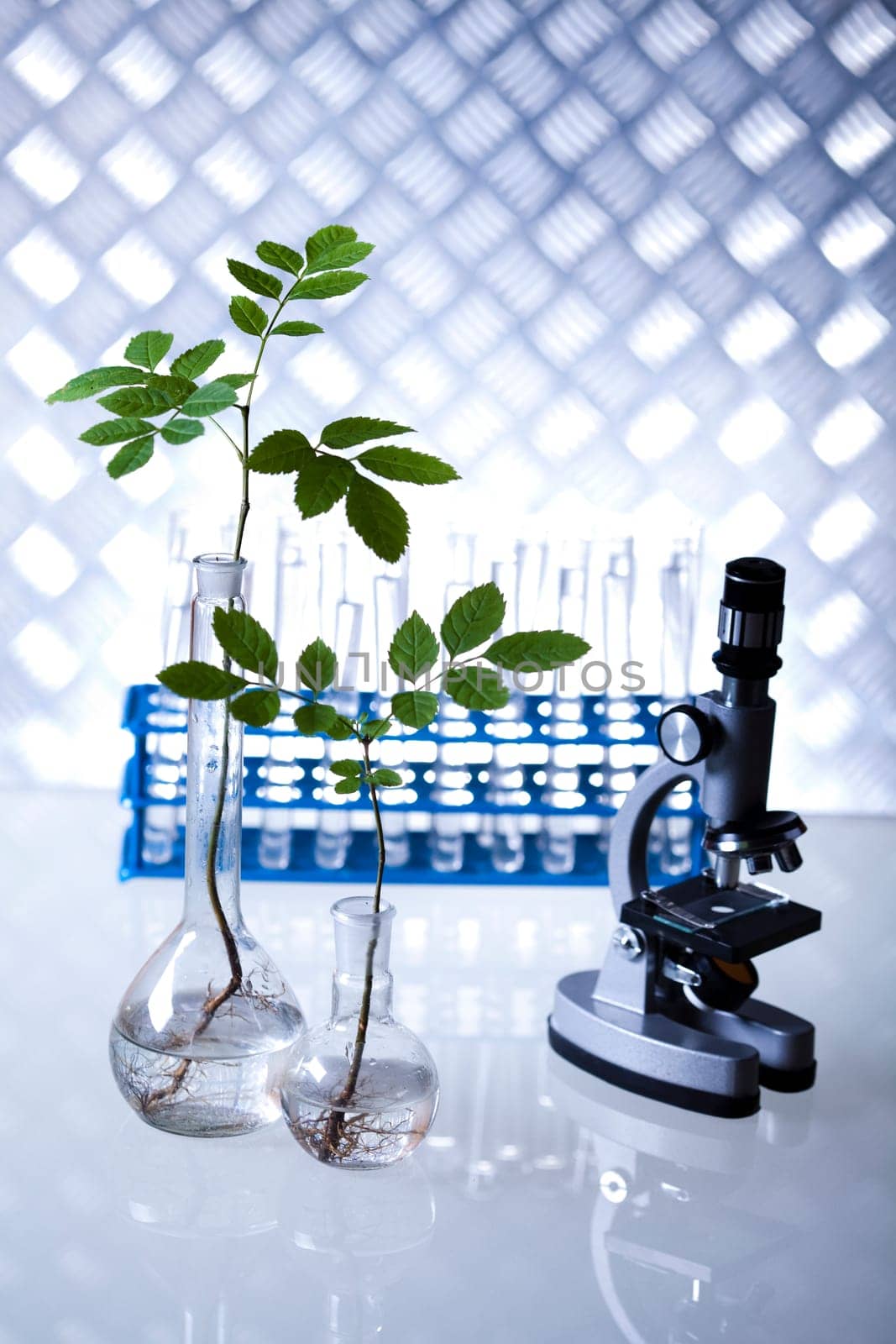 Laboratory