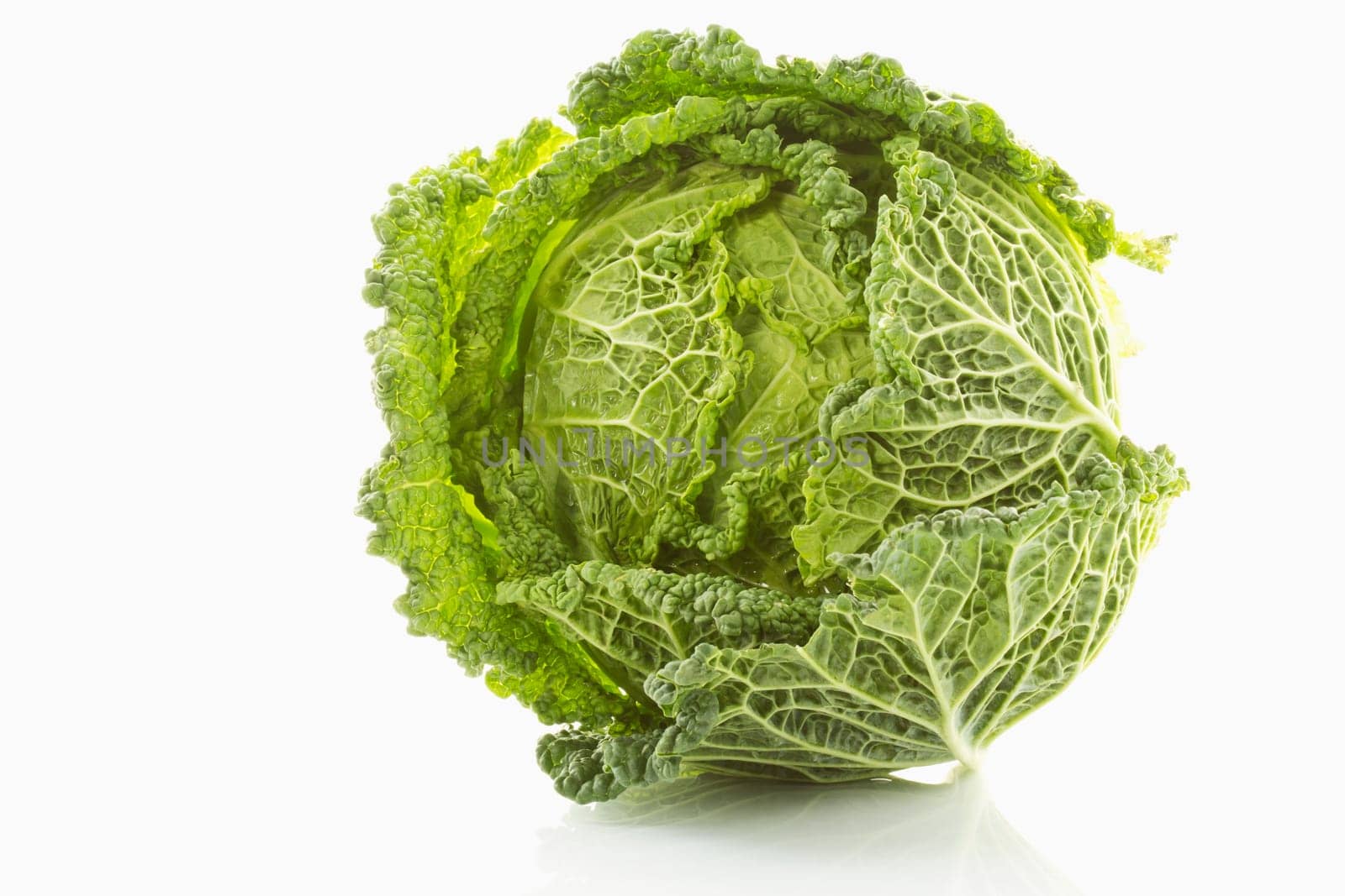 Savoy cabbage