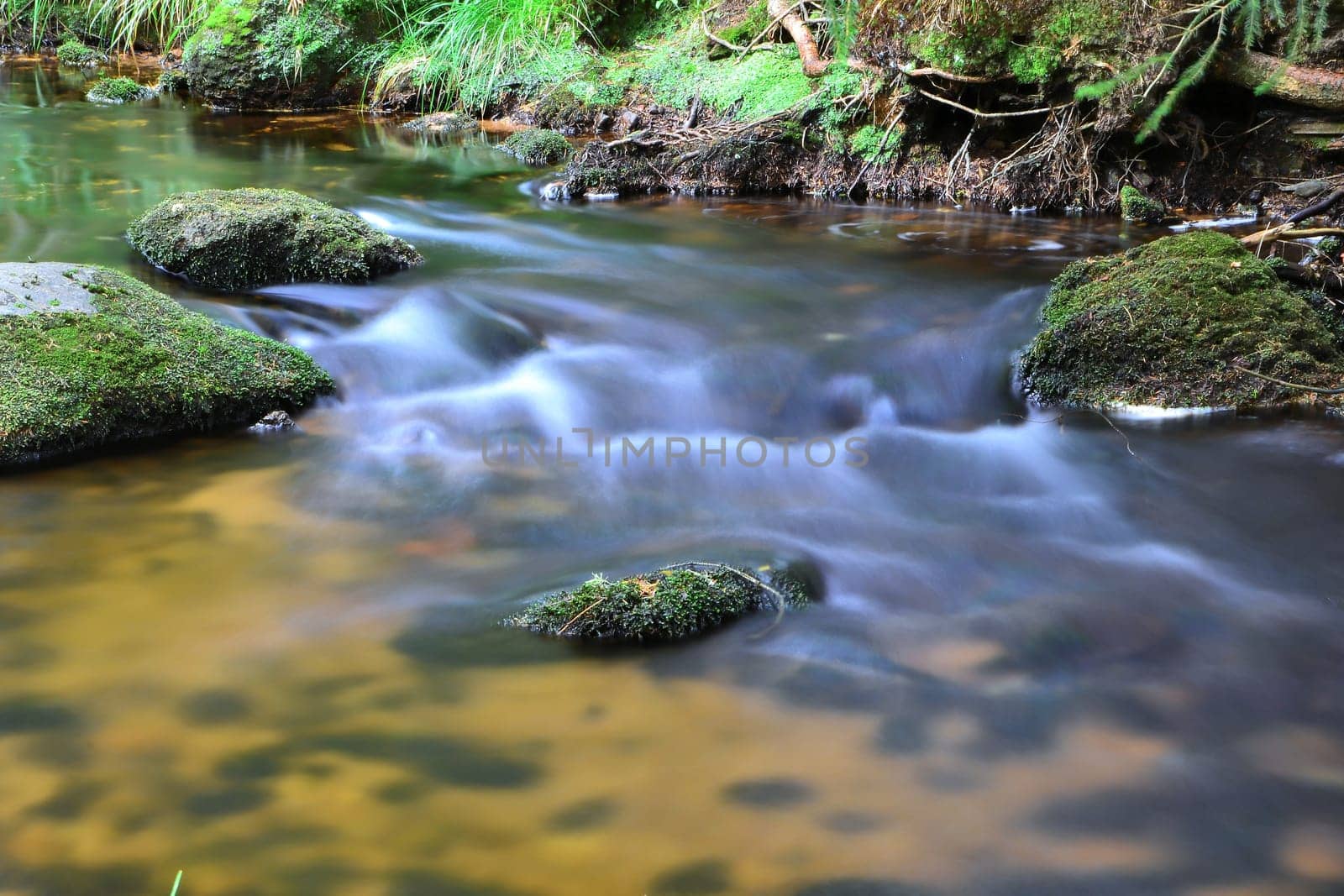 Mountain stream in the Harz National Park
