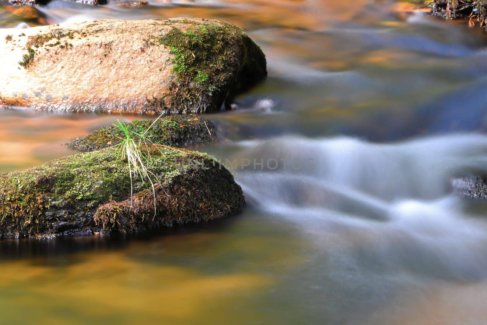 Mountain stream in the Harz National Park