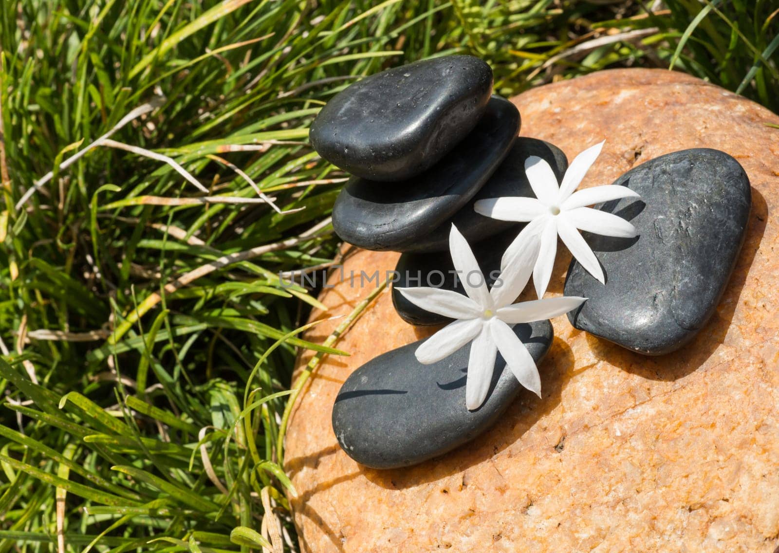 Jasmine flowers on zen black stones