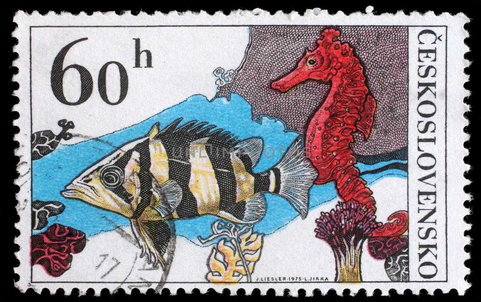 CZECHOSLOVAKIA - CIRCA 1974: A stamp printed in Czechoslovakia, shows Datrioides Microlepis and Sea Horse, circa 1974
